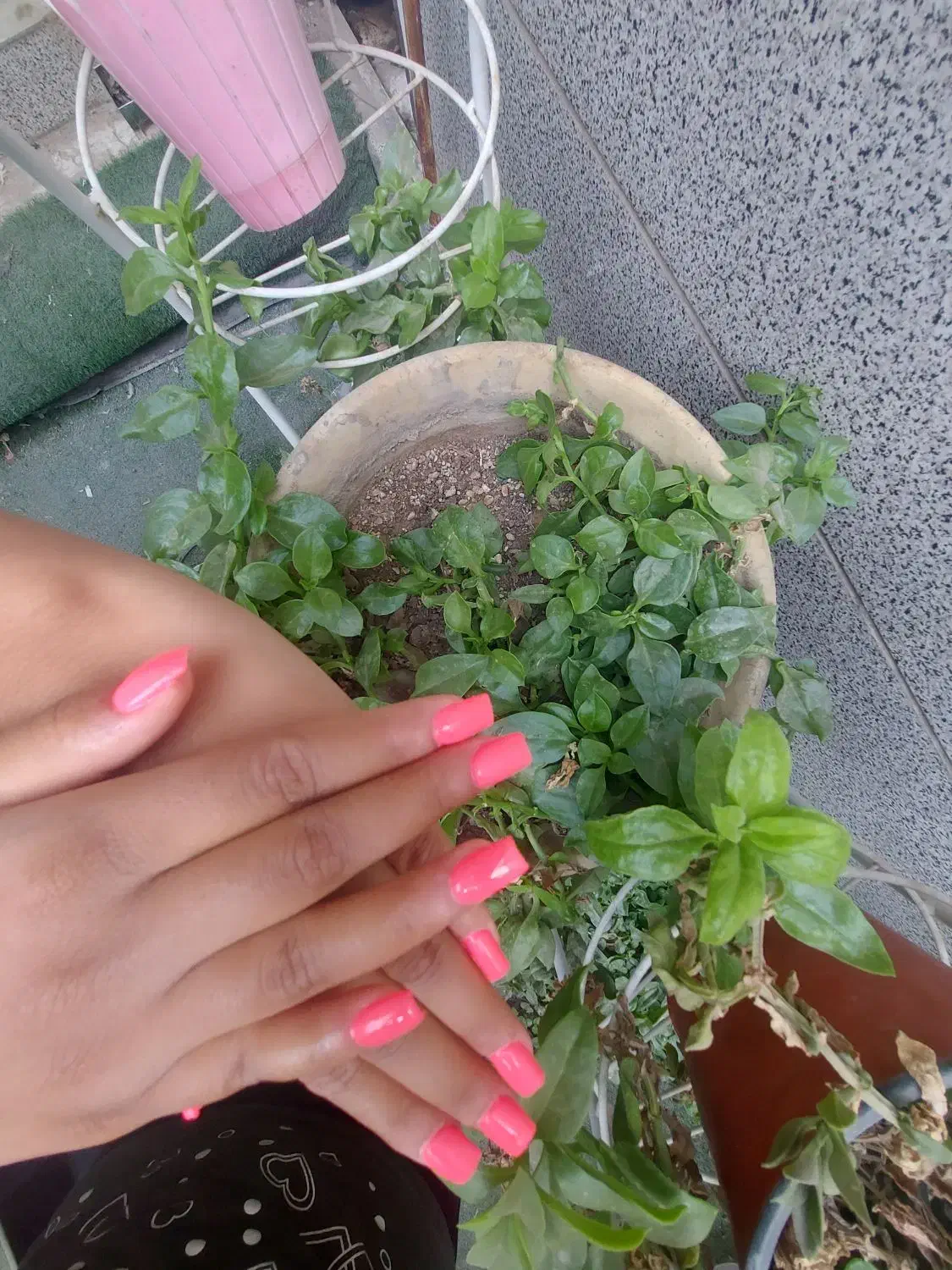 مدل کاشت ناخن|خدمات آرایشگری و زیبایی|ری, فیروزآباد|دیوار