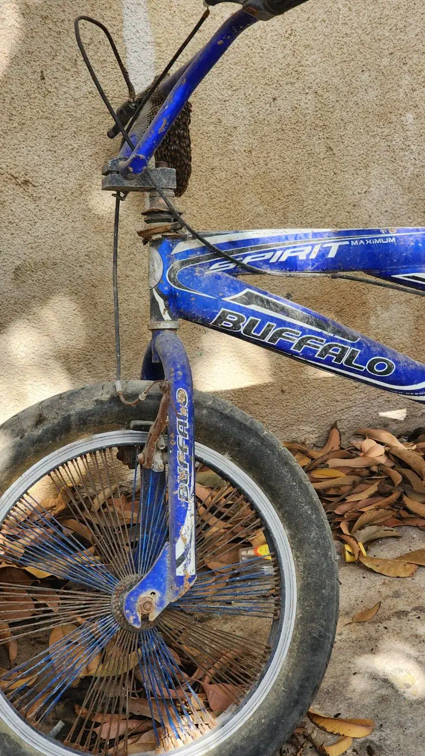 دوچرخه حرفه ای سایز ۲۰|دوچرخه، اسکیت، اسکوتر|بوشهر, |دیوار