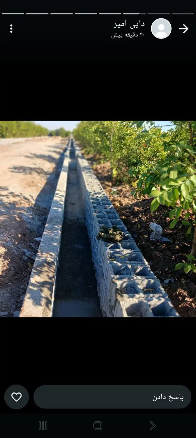 بنا|خدمات پیشه و مهارت|دزفول, |دیوار