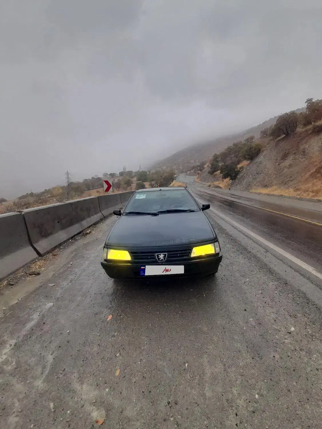 پژوآردی|خودرو سواری و وانت|سنندج, |دیوار