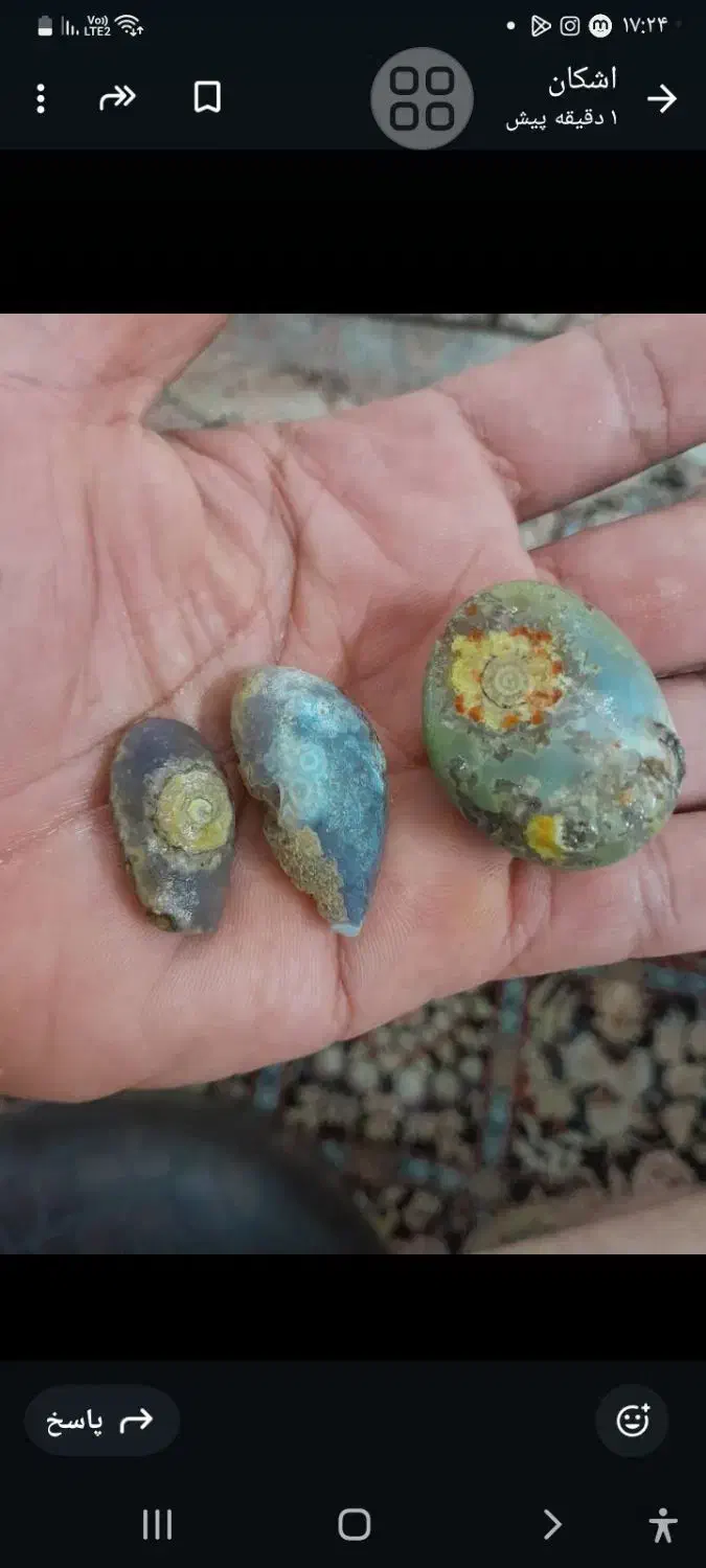 سنگ بابا قوری|کلکسیون اشیاء عتیقه|بوشهر, |دیوار