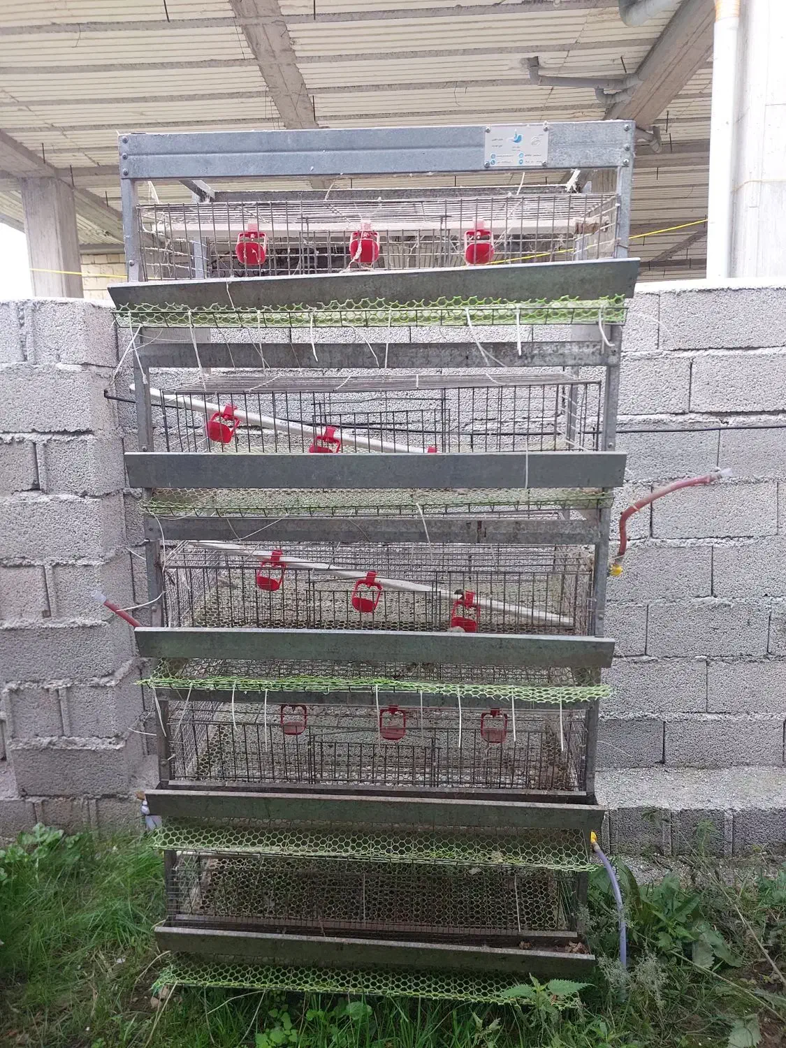 فروش قفسه۵طبقه بلدرچین وجوجه|لوازم جانبی حیوانات|تالش, جوکندان|دیوار