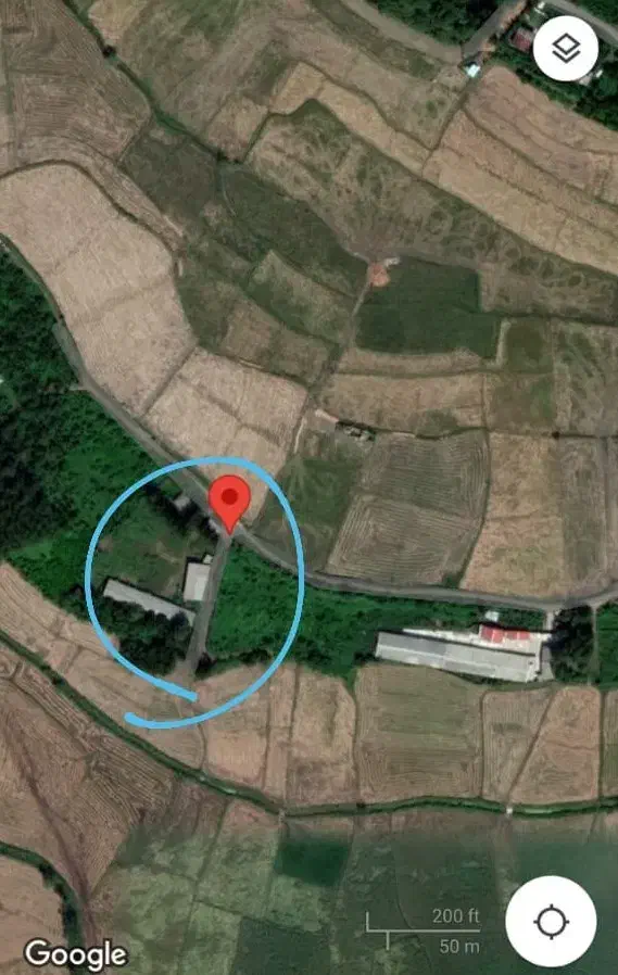 گاوداری 100 راسی(پرواری) خمام-شیجان|فروش دفتر صنعتی، کشاورزی، تجاری|خمام, |دیوار