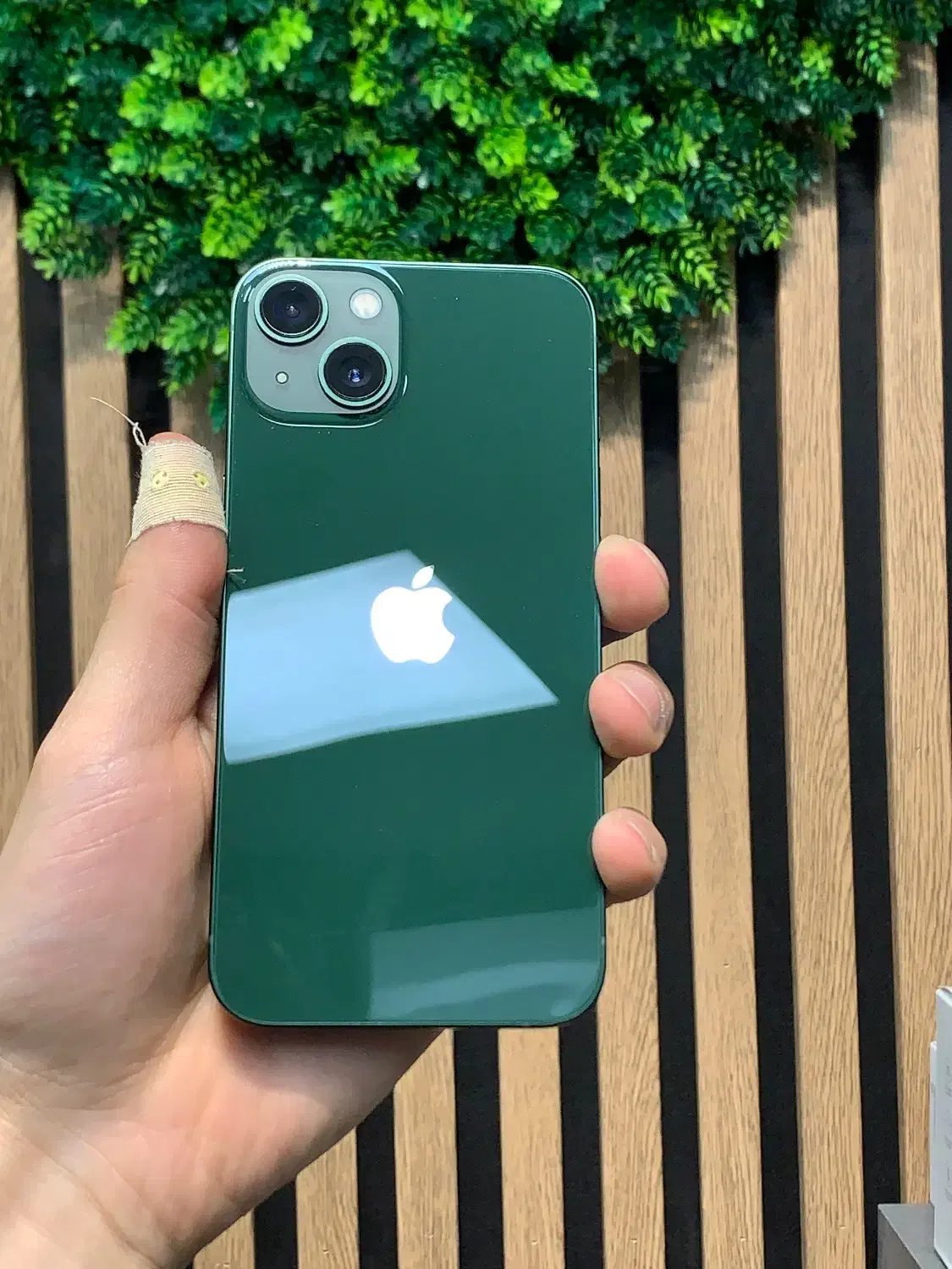 iPhone 13 Normal|موبایل|مراغه, |دیوار