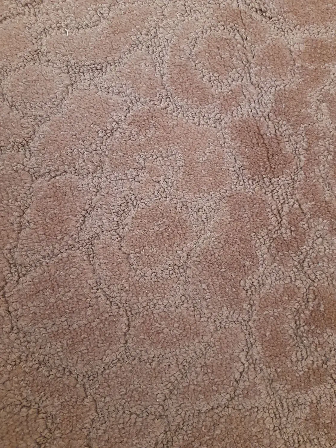 موکت ۶ متری|موکت|اصفهان, همدانیان|دیوار