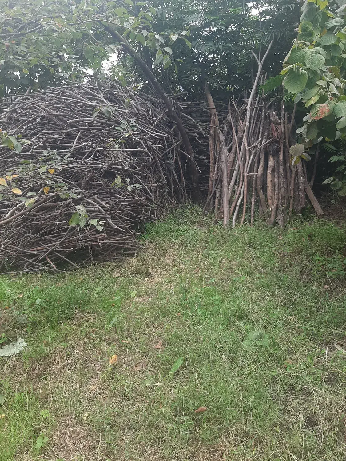 هیزم سر شاخه خشک  به اندازه  بار ۲ نیسان|بخاری، هیتر، شومینه|تالش, جوکندان|دیوار