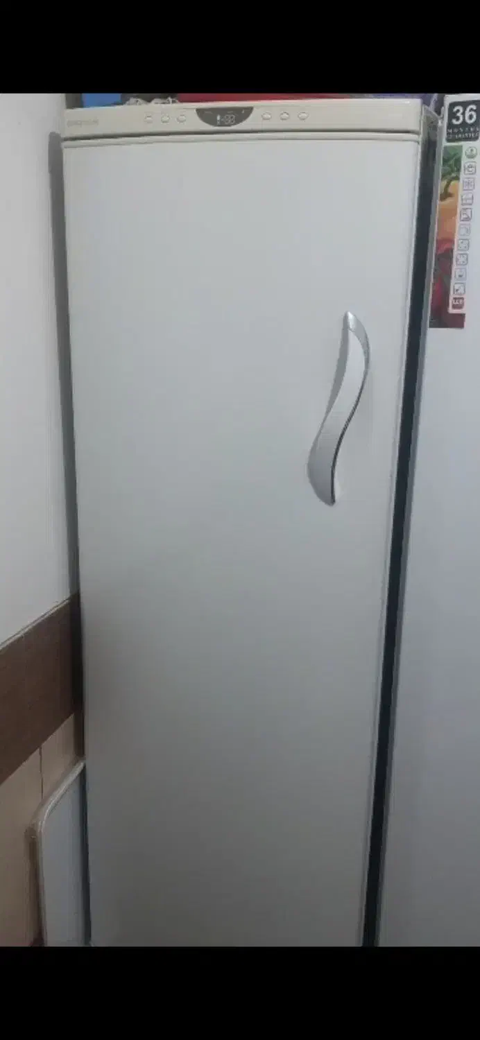 فریزر|یخچال و فریزر|شیراز, لب آب|دیوار