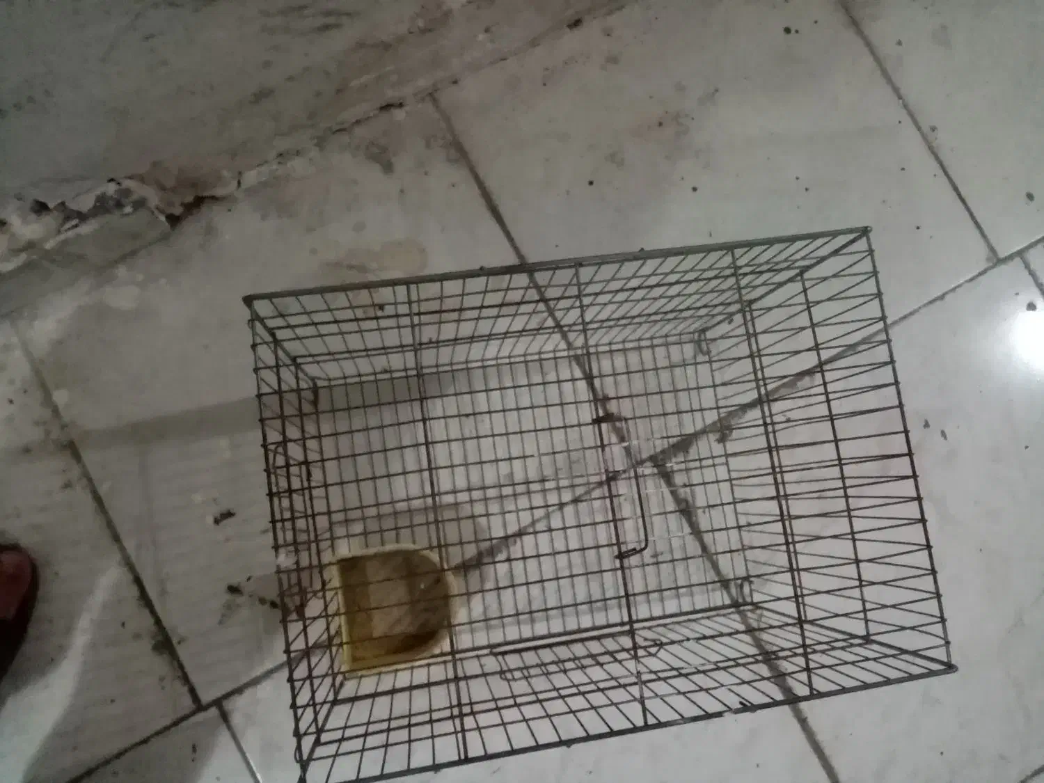 قفس|لوازم جانبی حیوانات|سنندج, |دیوار