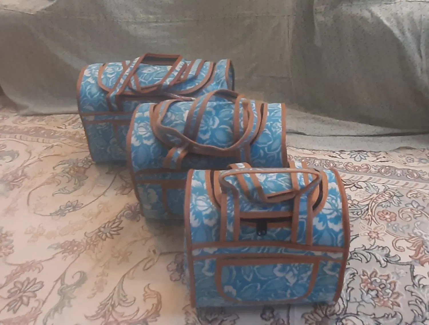 ساک مسافرتی سه تایی|کیف، کفش، کمربند|اصفهان, باغ فدک|دیوار