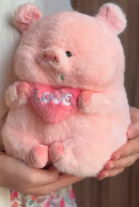 خوک لپی|اسباببازی|نیشابور, فردوسی جنوبی|دیوار