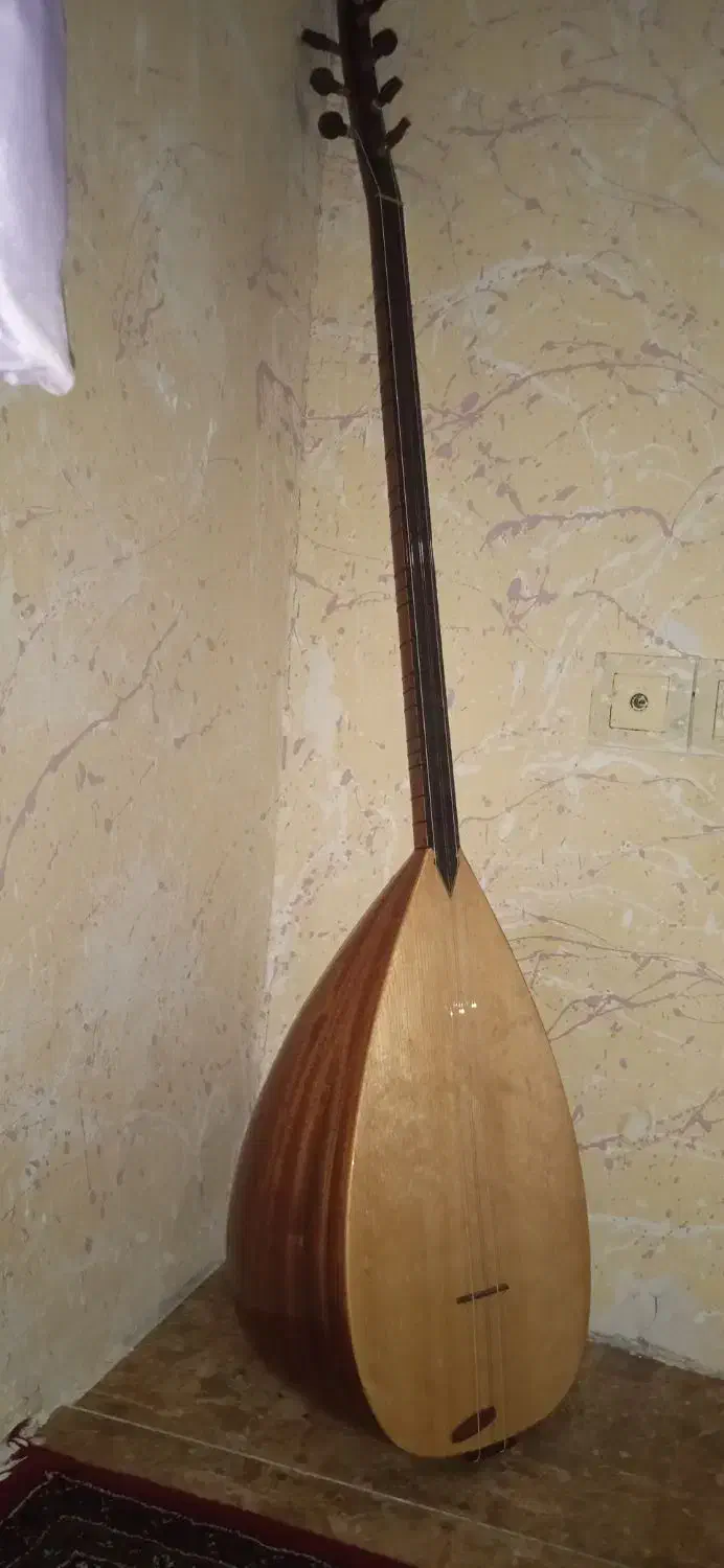 ساز دیوان حرفه ای|سازهای سنتی|سنندج, |دیوار