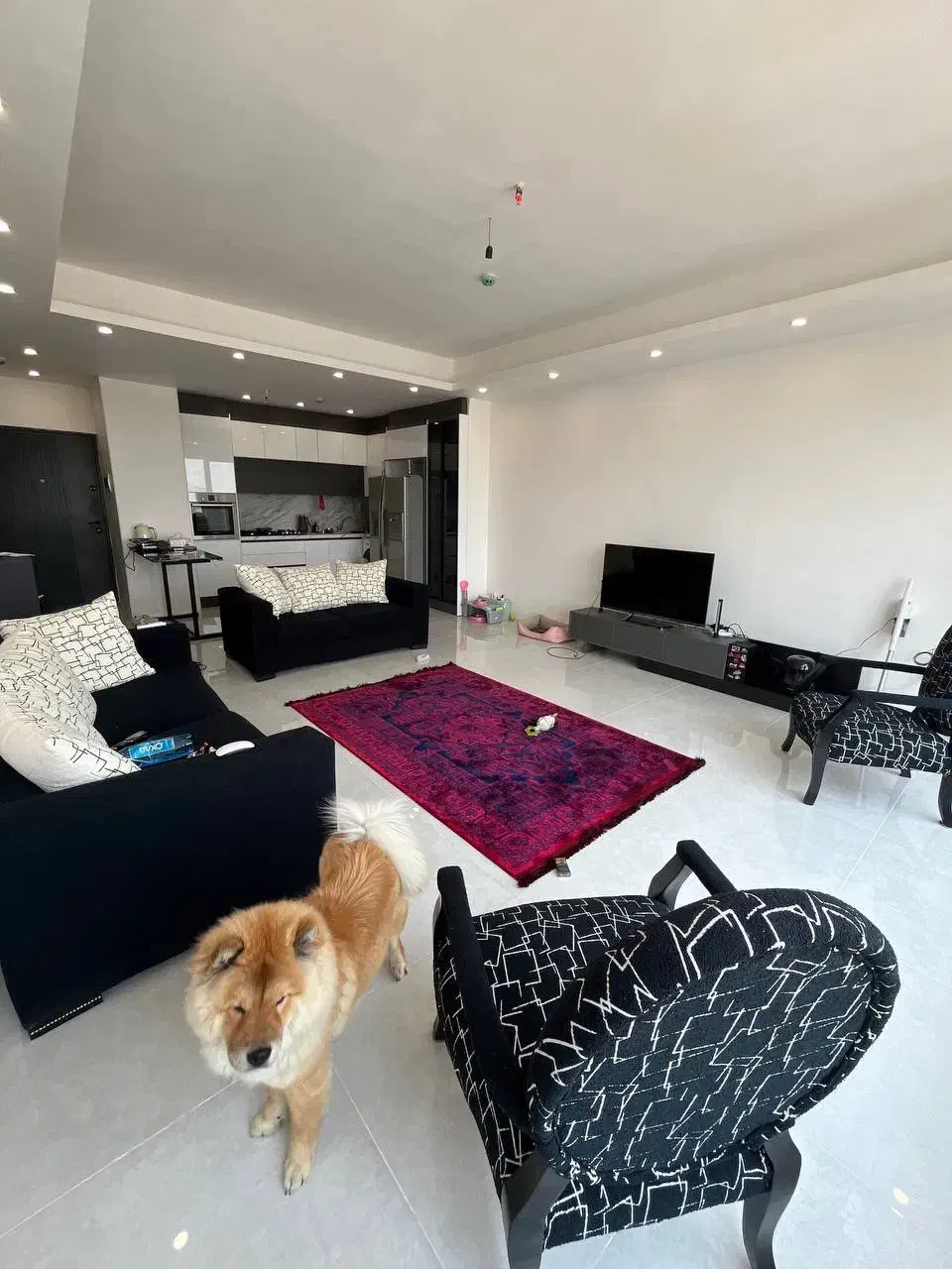 ۲خوابه نوساز۱۰۵متری/آزادگان|فروش آپارتمان|بندرعباس, |دیوار