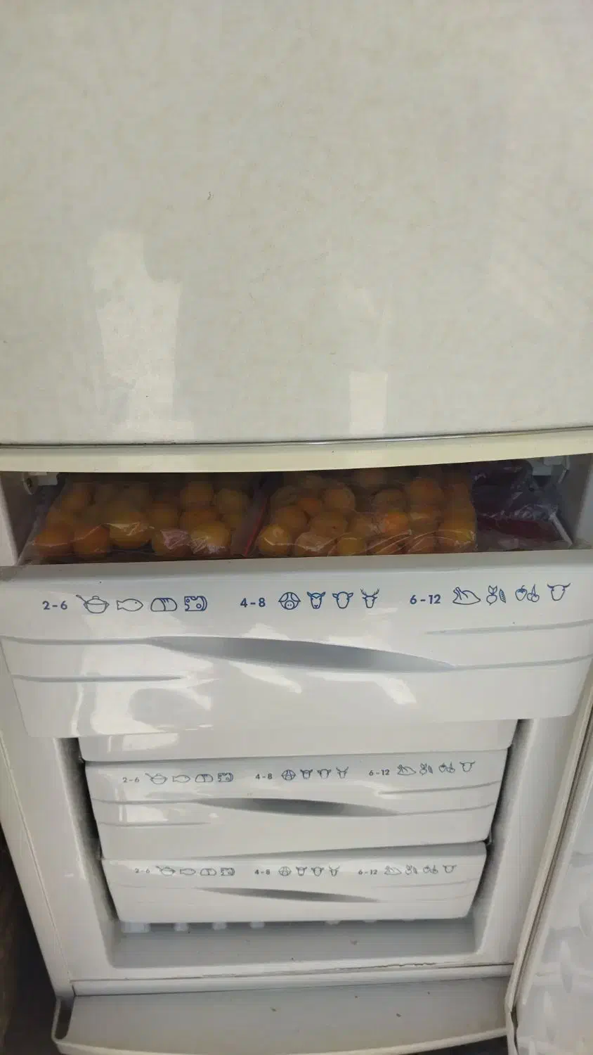 یخچال فریزر|یخچال و فریزر|مهاجران, |دیوار