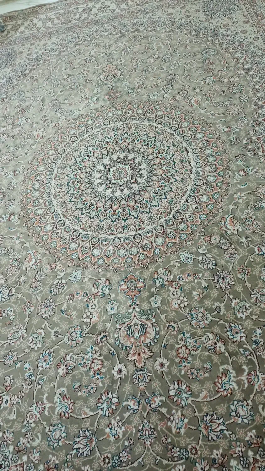 فرش 12 متری|فرش|شاهدشهر, |دیوار