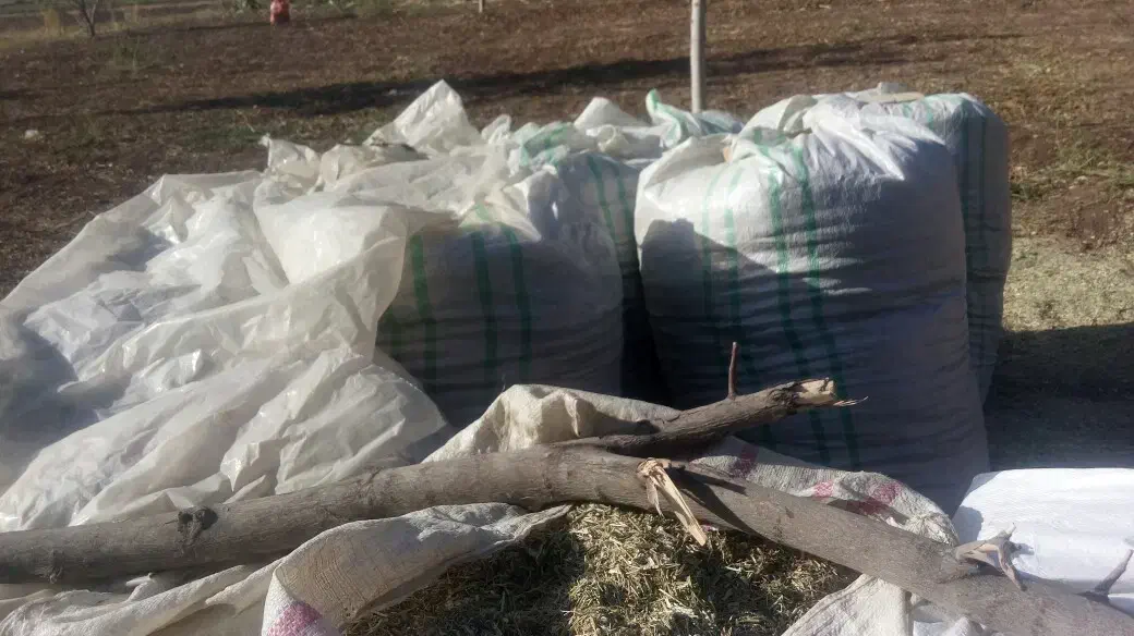 چغندر خوراک دام کاه یونجه جو گندم کنسانتره|لوازم جانبی حیوانات|تهران, فردوسی|دیوار