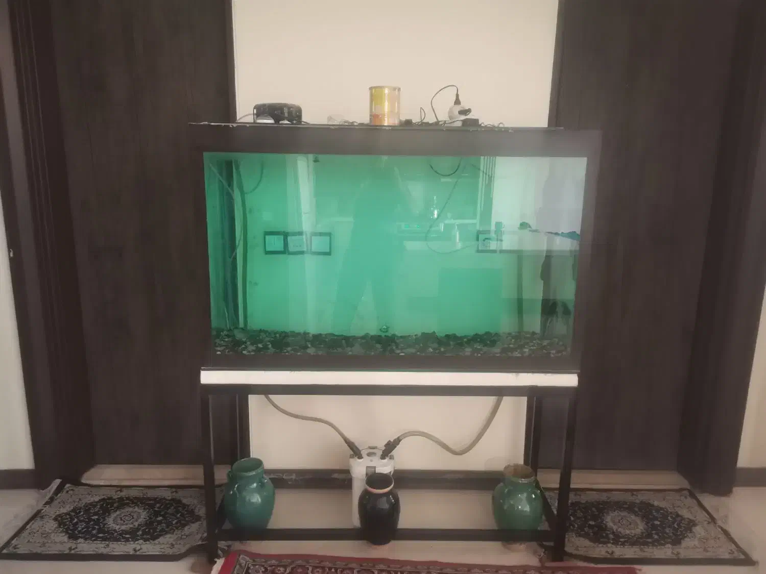 آکواریوم|ماهی|کرمان, |دیوار