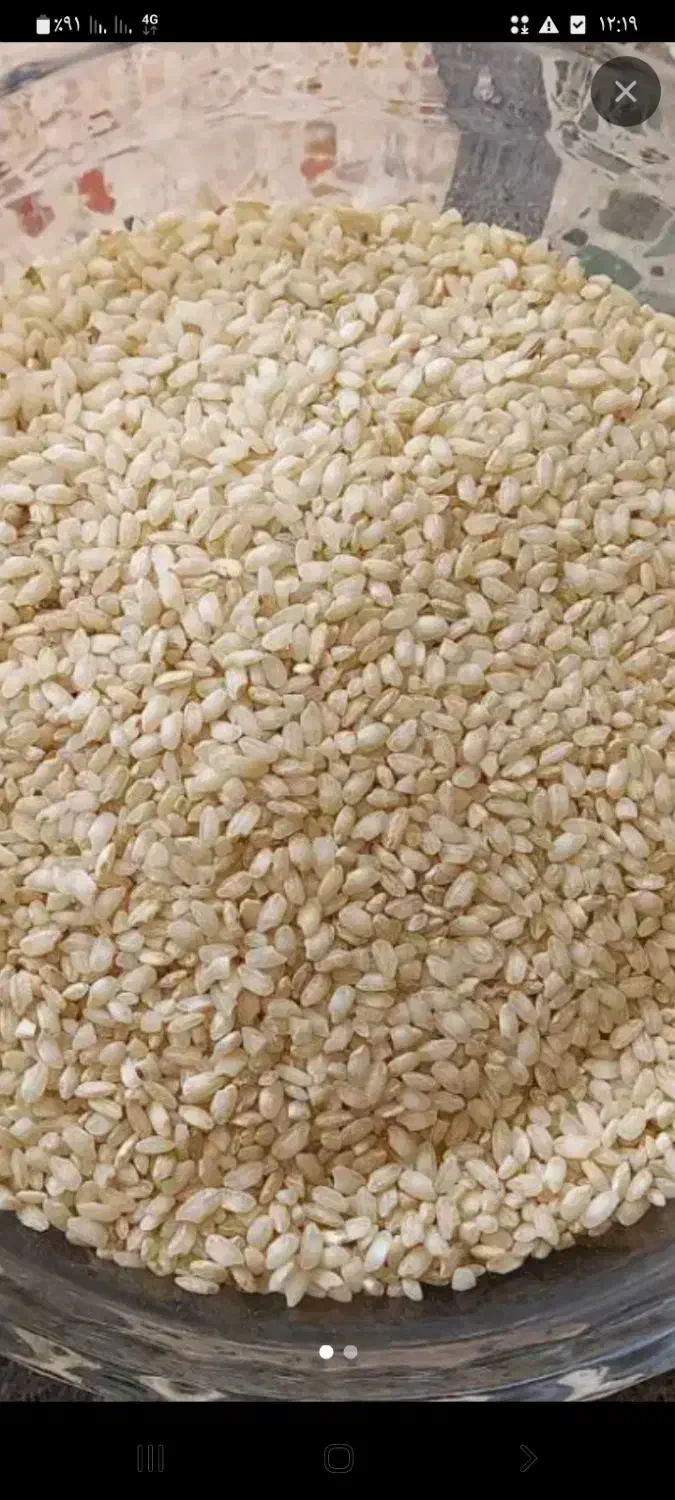 برنج چمپا و گرده( شهری)|خوردنی و آشامیدنی|یاسوج, |دیوار