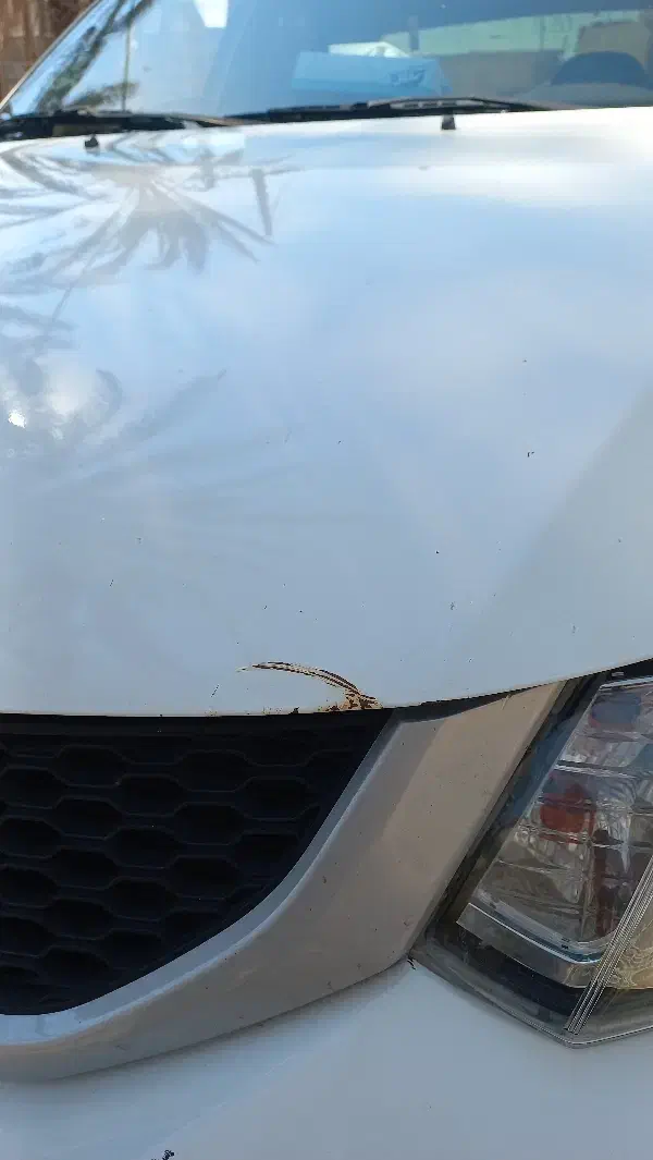 ساینا اس|خودرو سواری و وانت|کهنوج, |دیوار