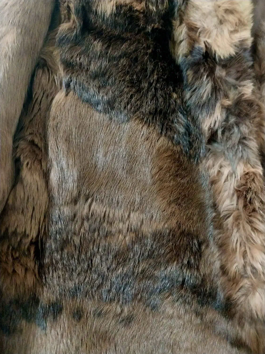 پالتو|لباس|هشتگرد, شهرک گلها|دیوار