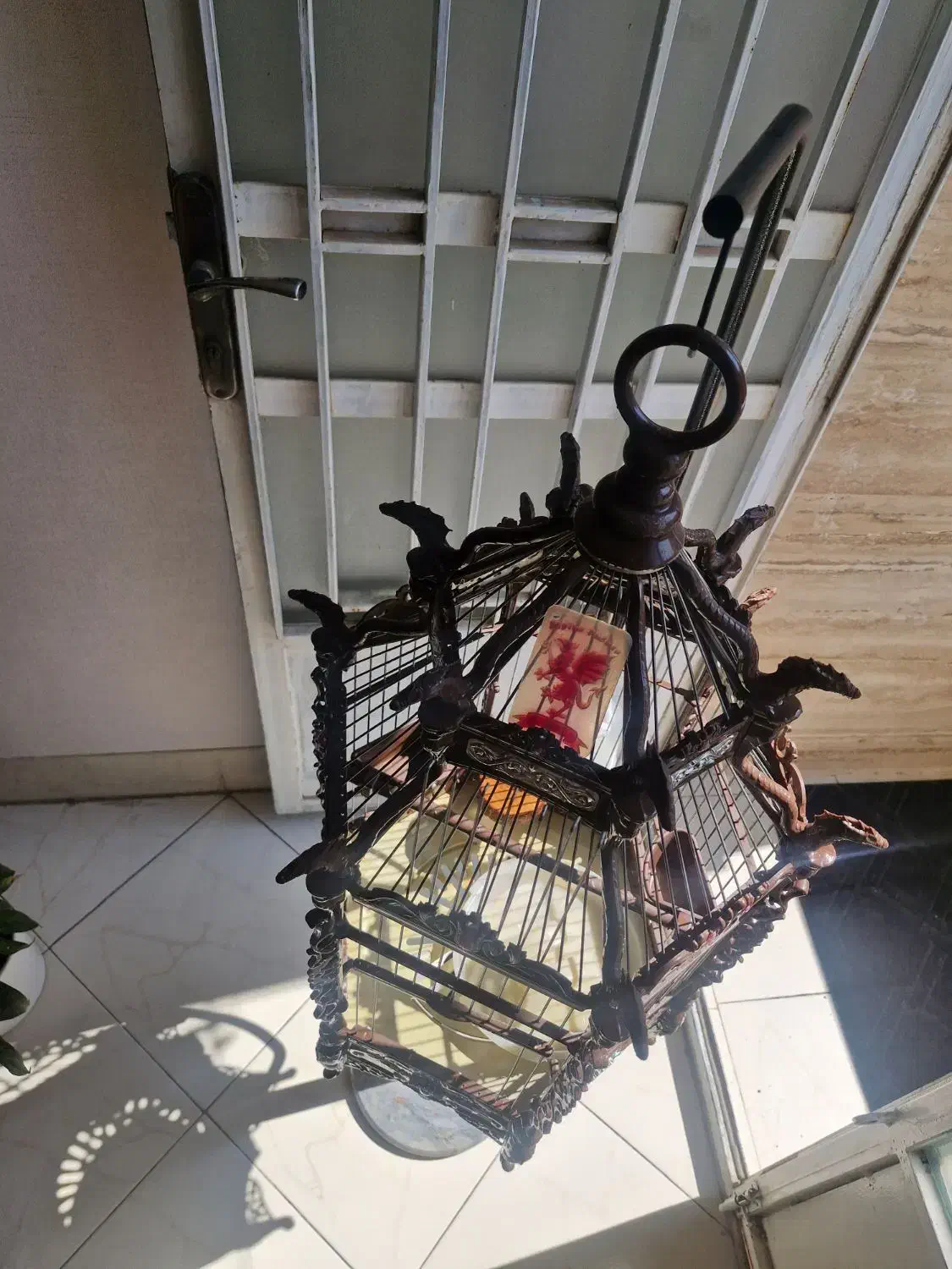 قفس سلطنتی|لوازم جانبی حیوانات|شیراز, میانرود|دیوار