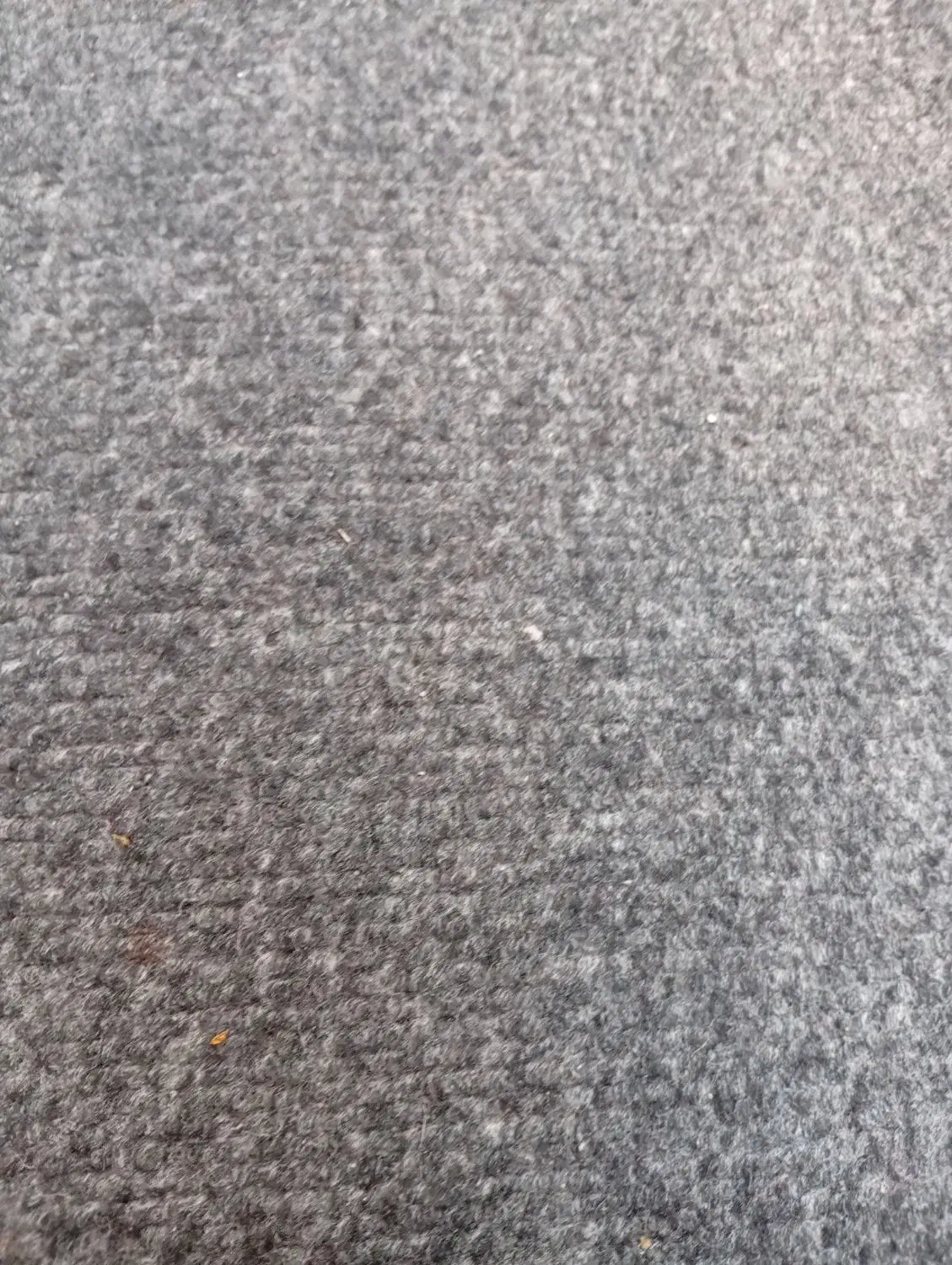 موکت|موکت|کرمان, |دیوار