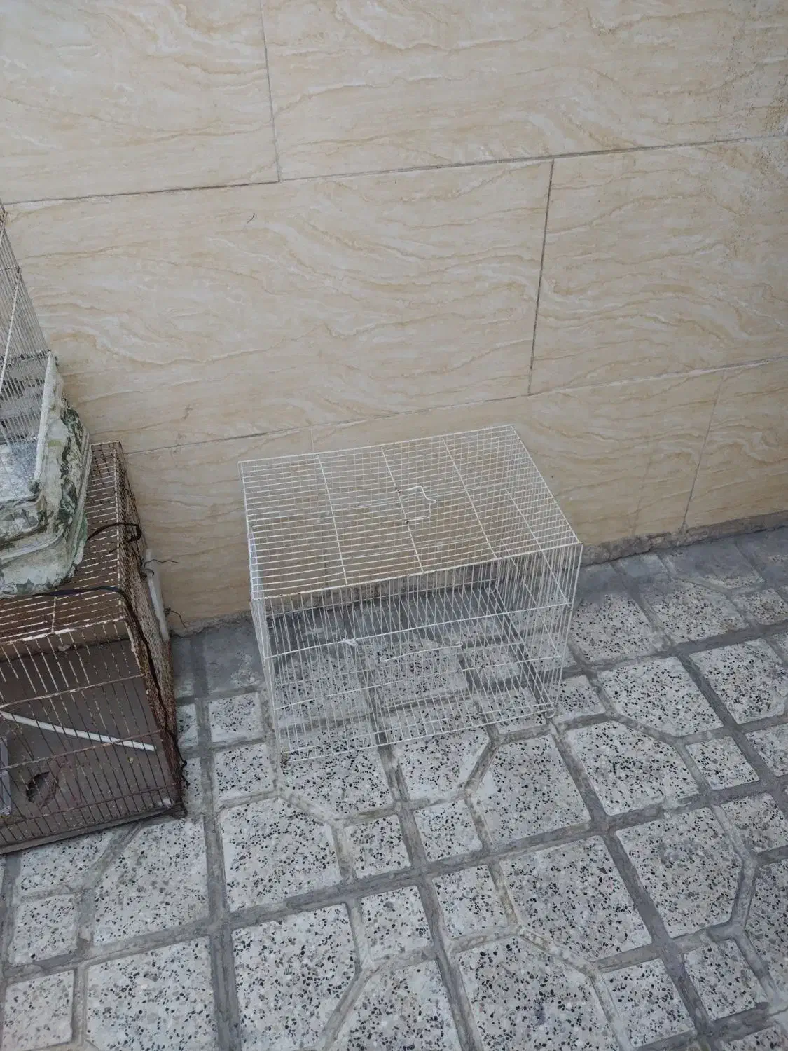 چند عدد قفس|لوازم جانبی حیوانات|مشهد, نوید|دیوار