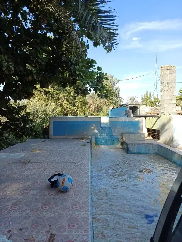 اجاره باغ شبانه روزی|اجارهٔ کوتاهمدت ویلا و باغ|میناب, |دیوار