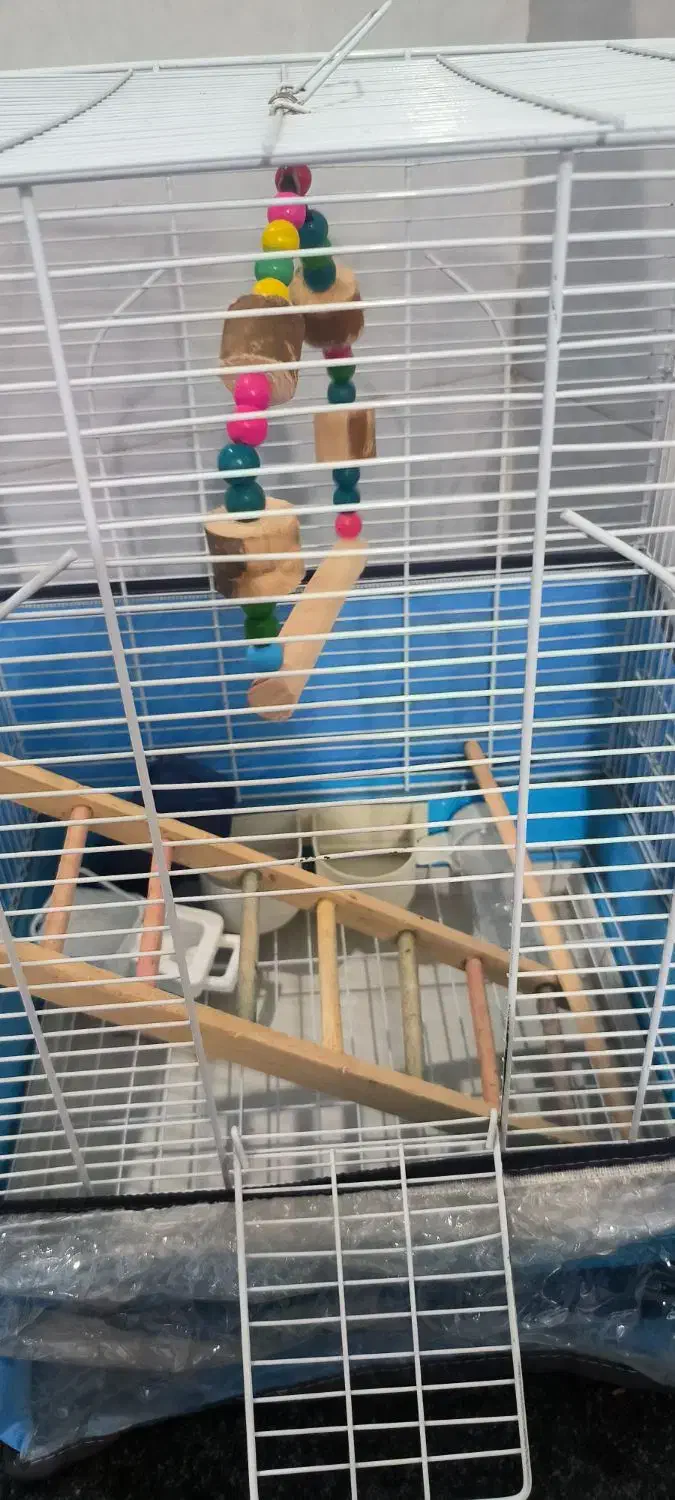 قفس پرنده|لوازم جانبی حیوانات|درگهان, |دیوار