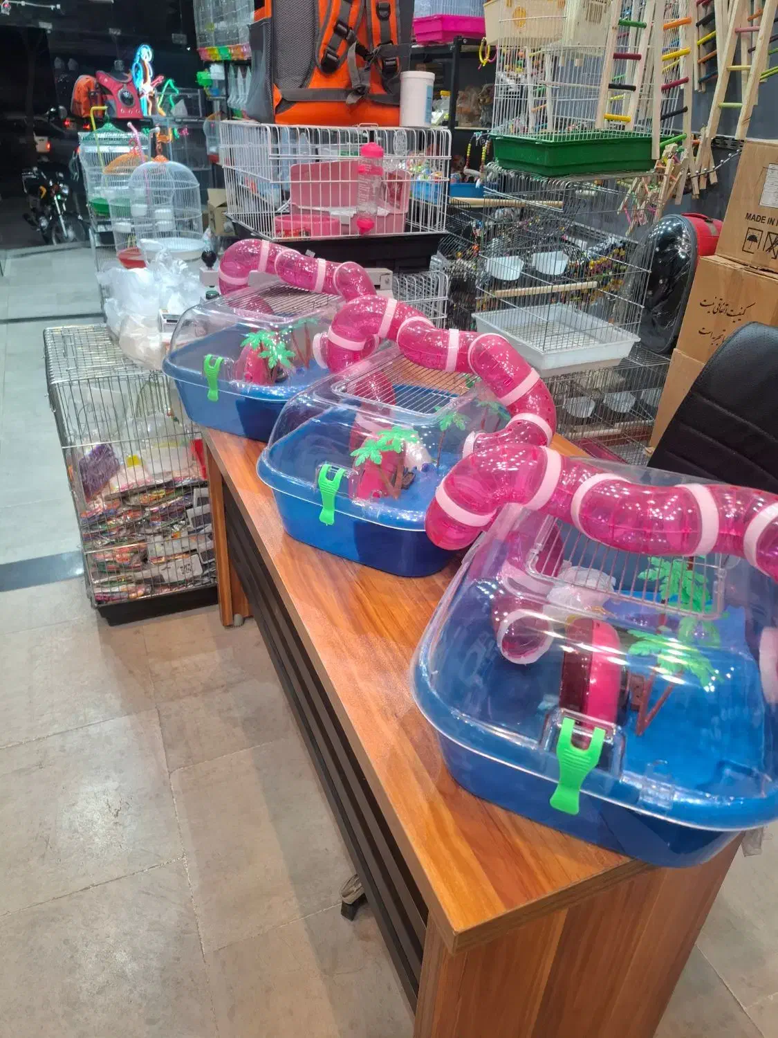 باکس جزیره ای همستر|لوازم جانبی حیوانات|قم, حکمت شمالی|دیوار