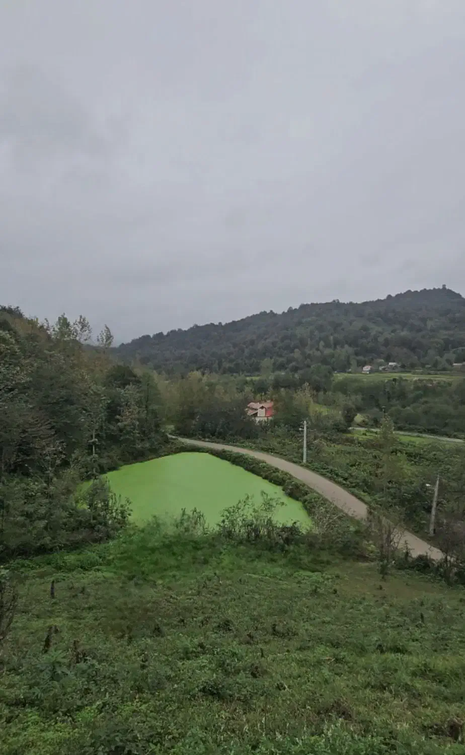 زمین جنگلی کوهستانی لاهیجان با ویو بینظیر|فروش زمین و ملک کلنگی|لاهیجان, بوجایه|دیوار