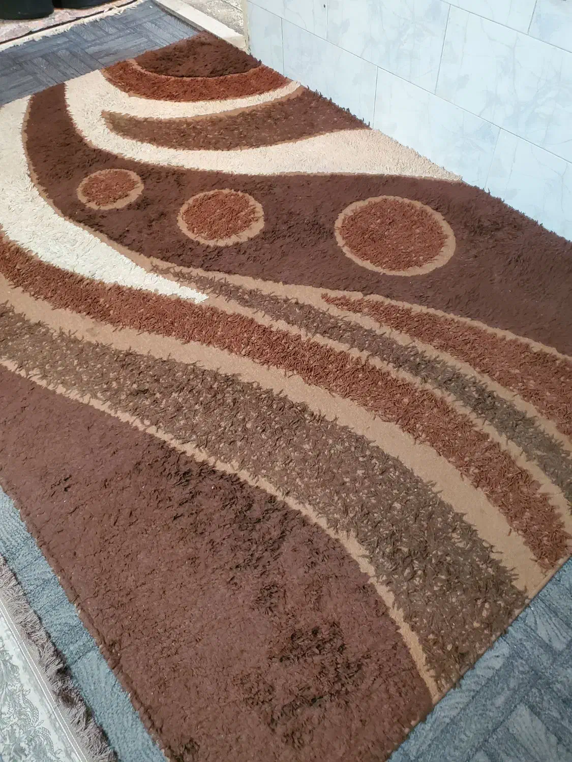 فرش ۶متری تمیز  فانتزی|فرش|شیراز, سرو|دیوار