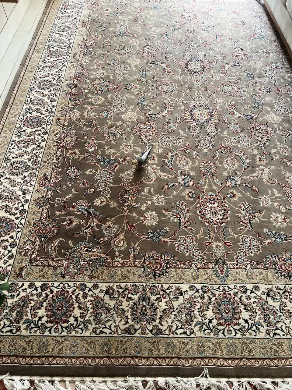 فرش .قالی.|فرش|نجف‌آباد, امام خمینی|دیوار