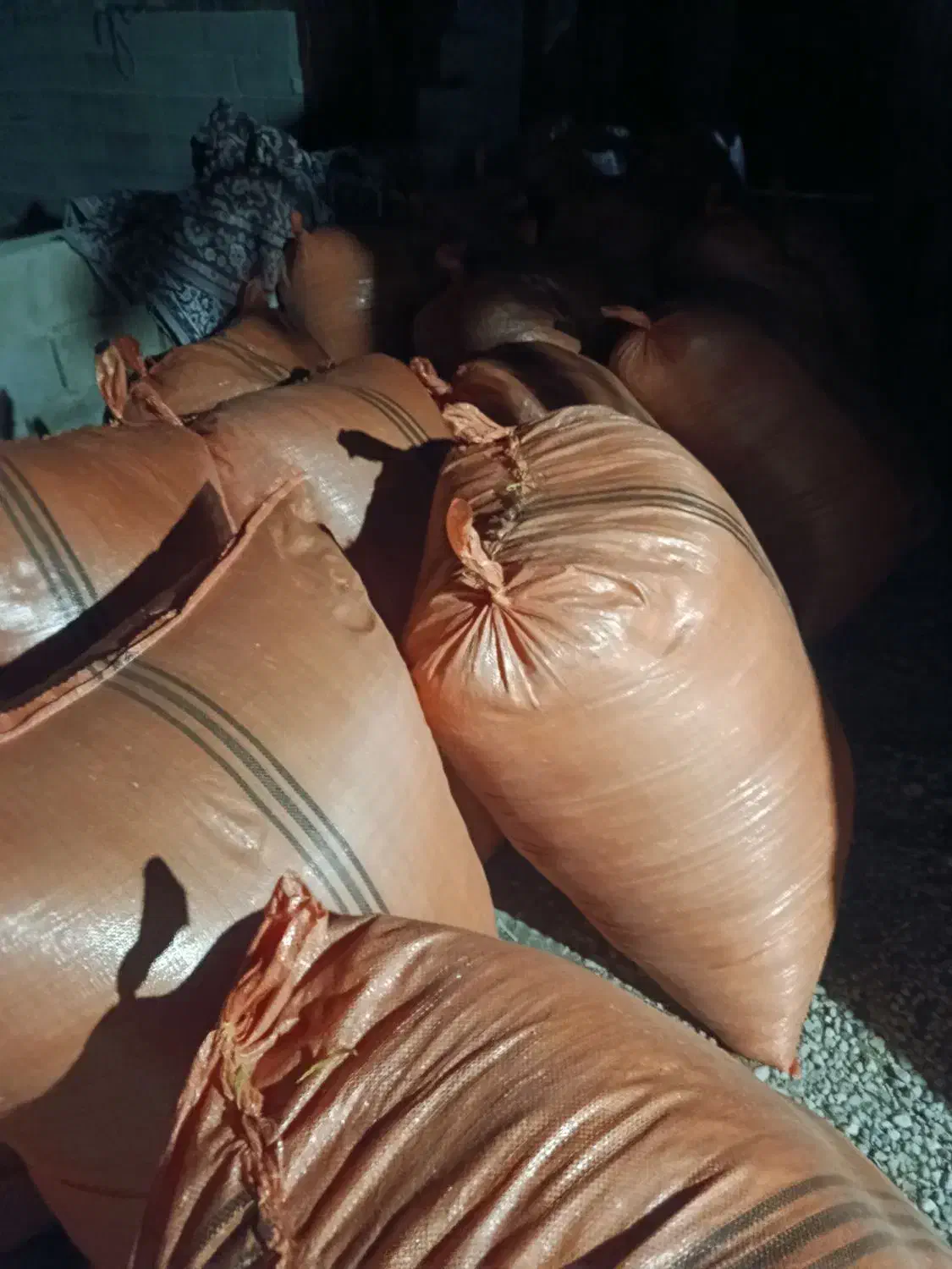 کاه گندم|حیوانات مزرعه|زرین دشت (فارس), |دیوار