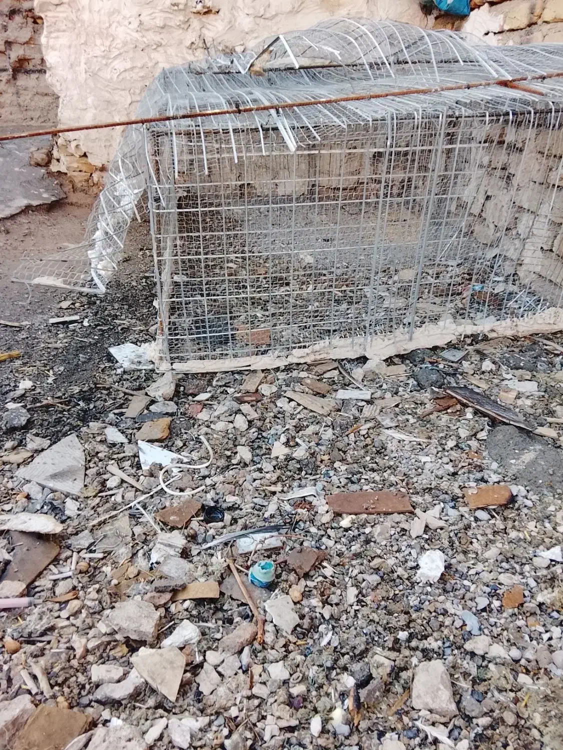 توری کفتر ومرغ. . فقط تماس|لوازم جانبی حیوانات|تربت جام, خیرآباد|دیوار