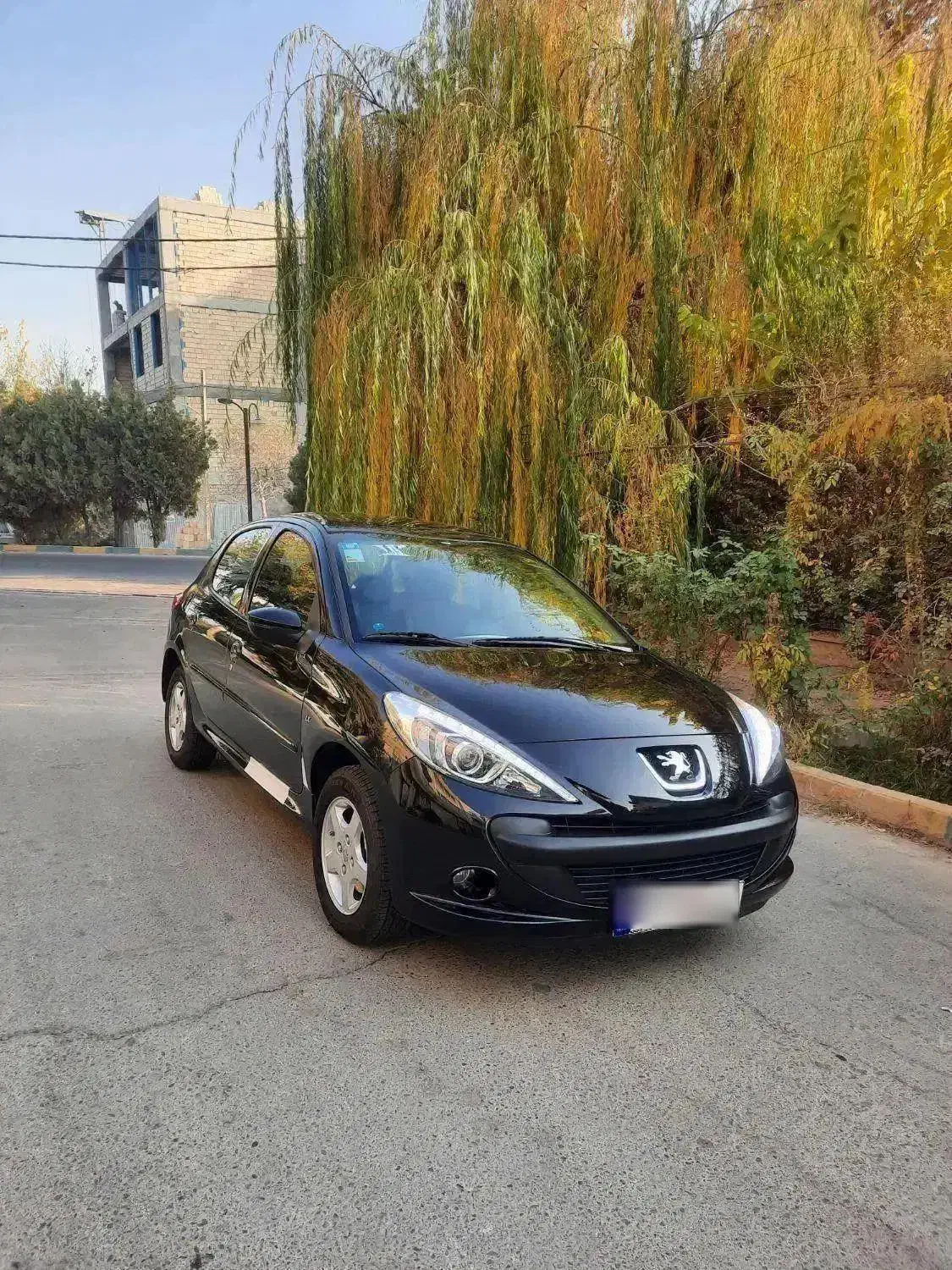 ۲۰۷ پانوراما ارتقا|خودرو سواری و وانت|فردیس, خیام غربی|دیوار