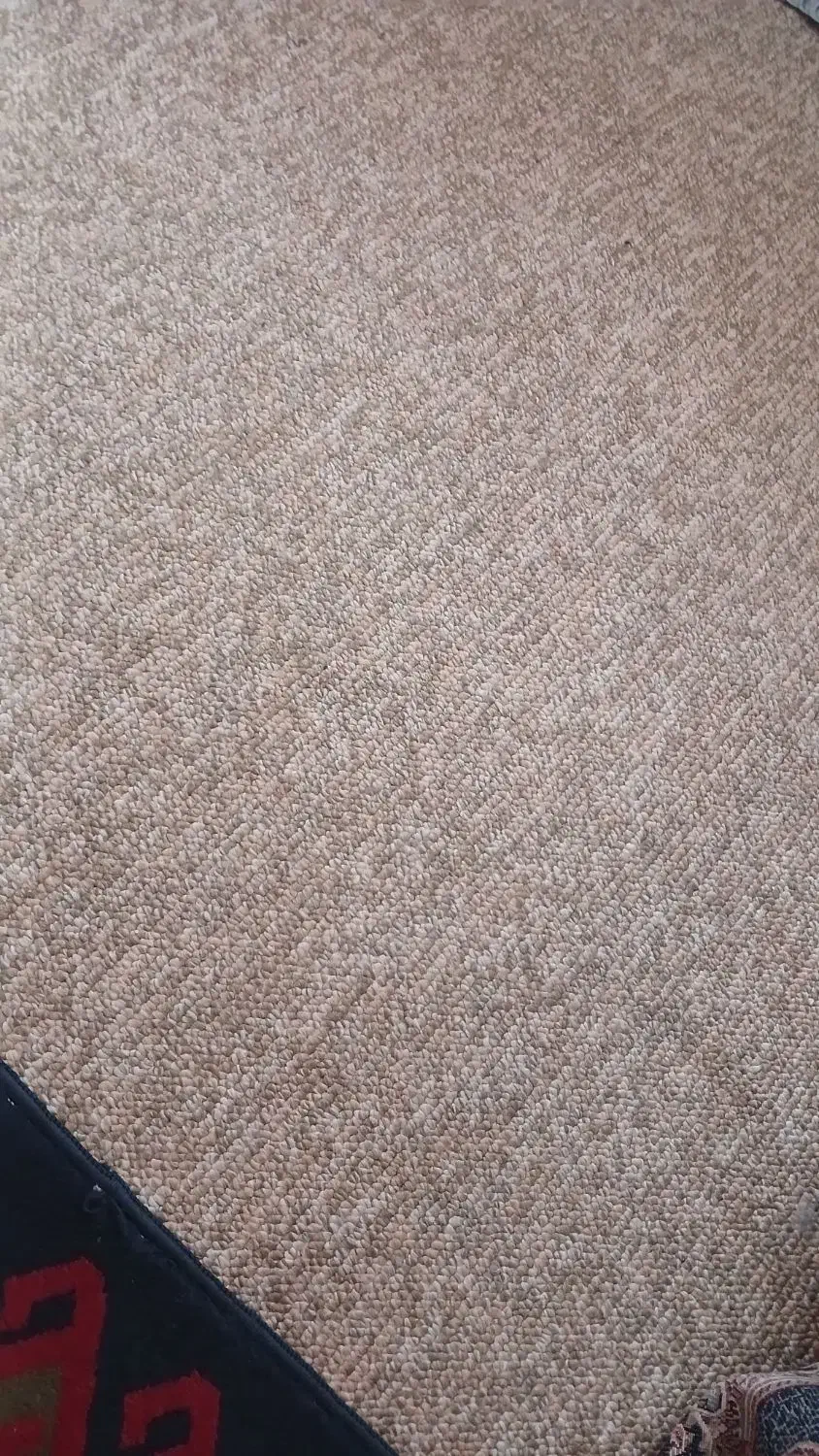 ۲عدد پالاز موکت دوازده متری|موکت|بروجرد, |دیوار