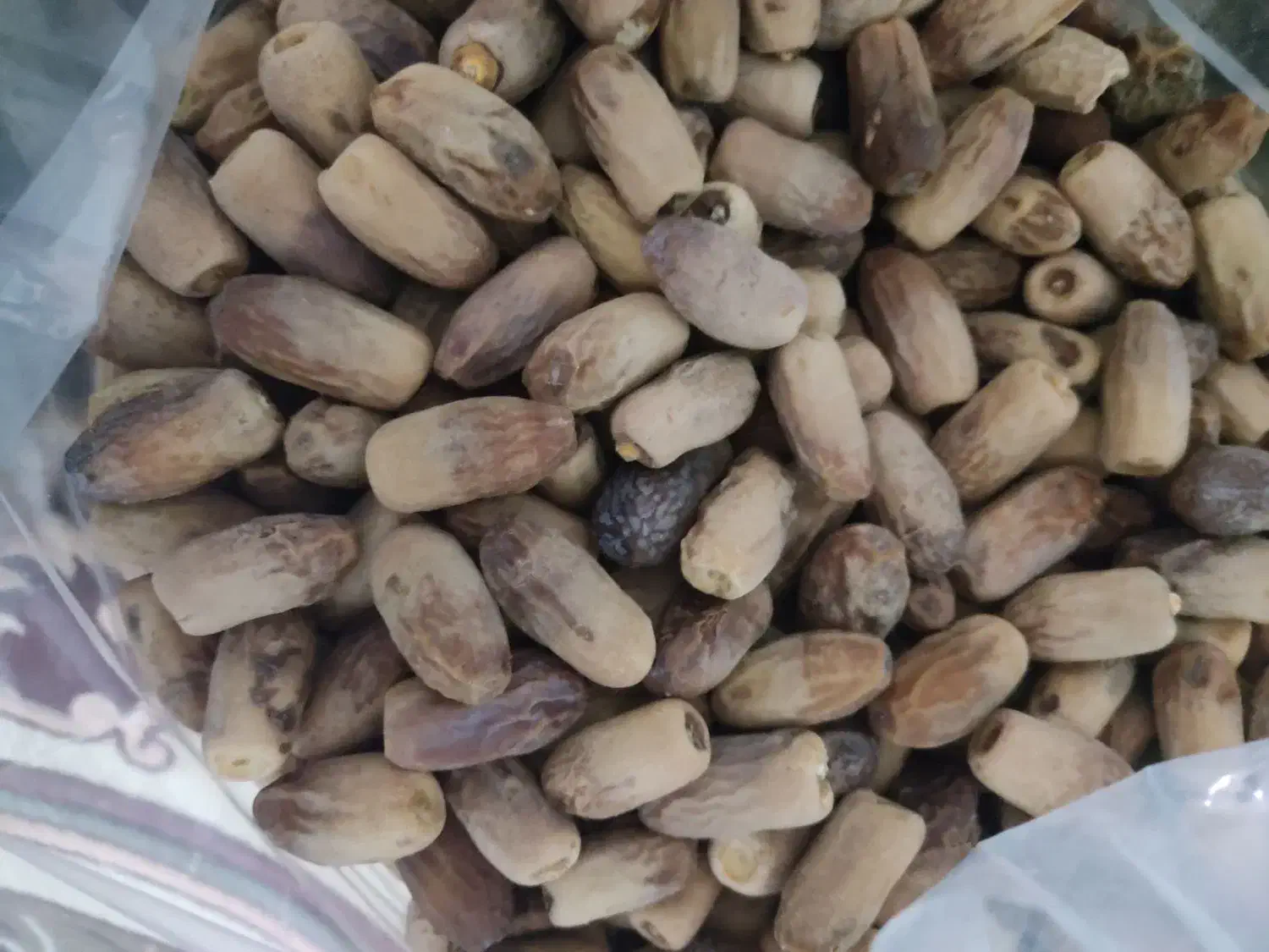 خرما سفید|خوردنی و آشامیدنی|فهرج, |دیوار