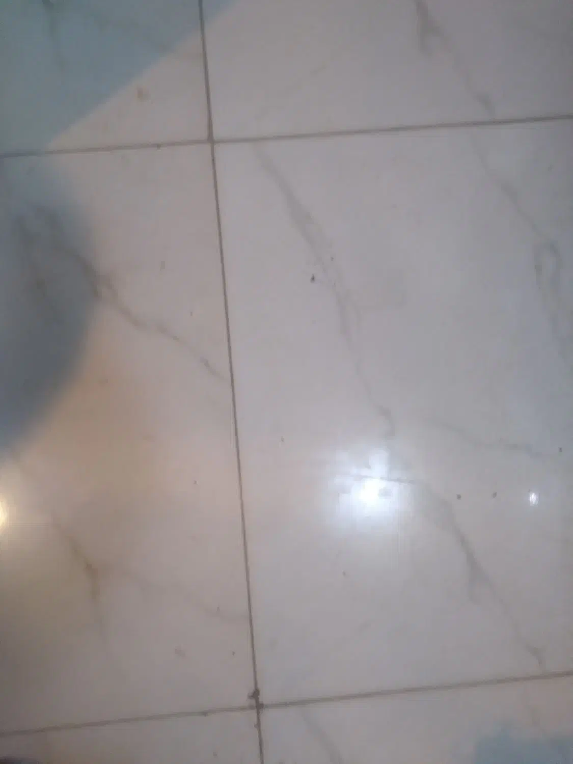 کاشی کاری وسرامیگ|خدمات پیشه و مهارت|نهاوند, |دیوار