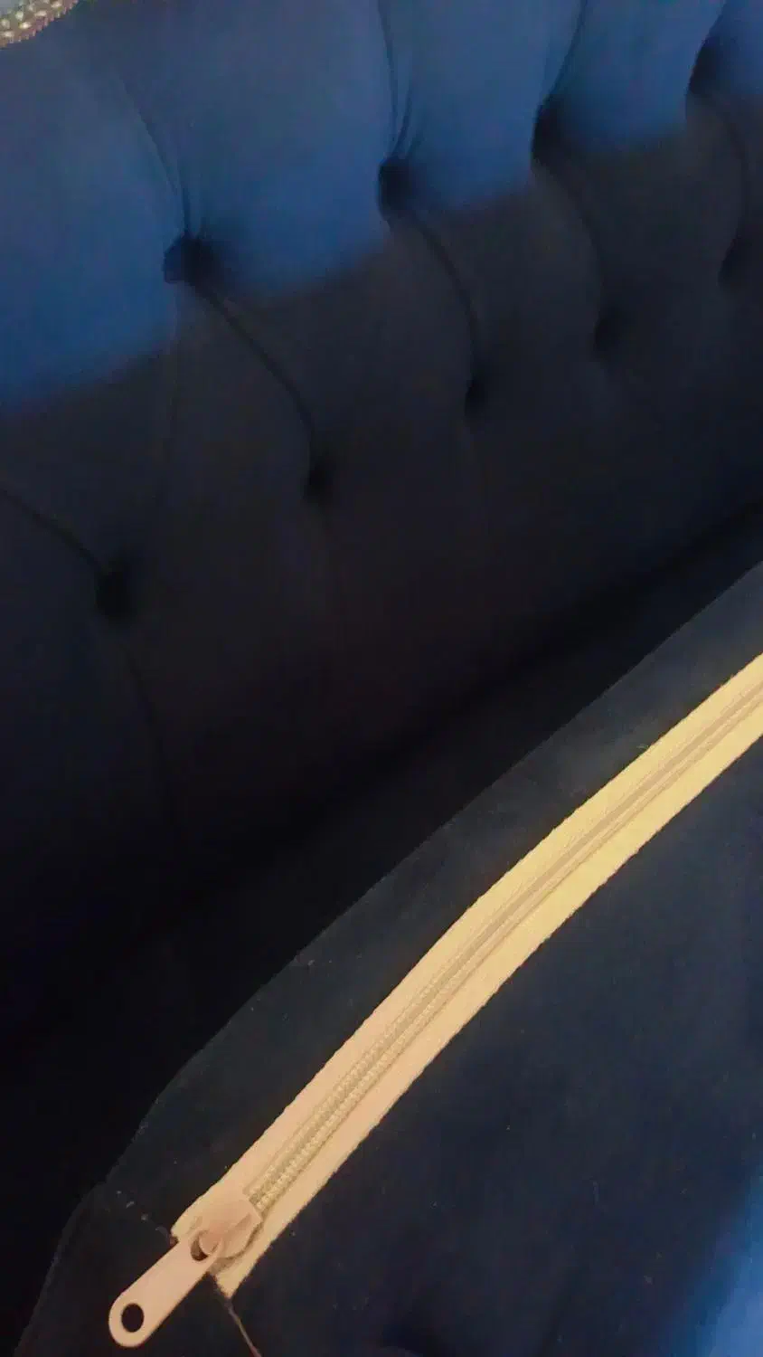 ۷ متری|فرش|گنبد کاووس, |دیوار