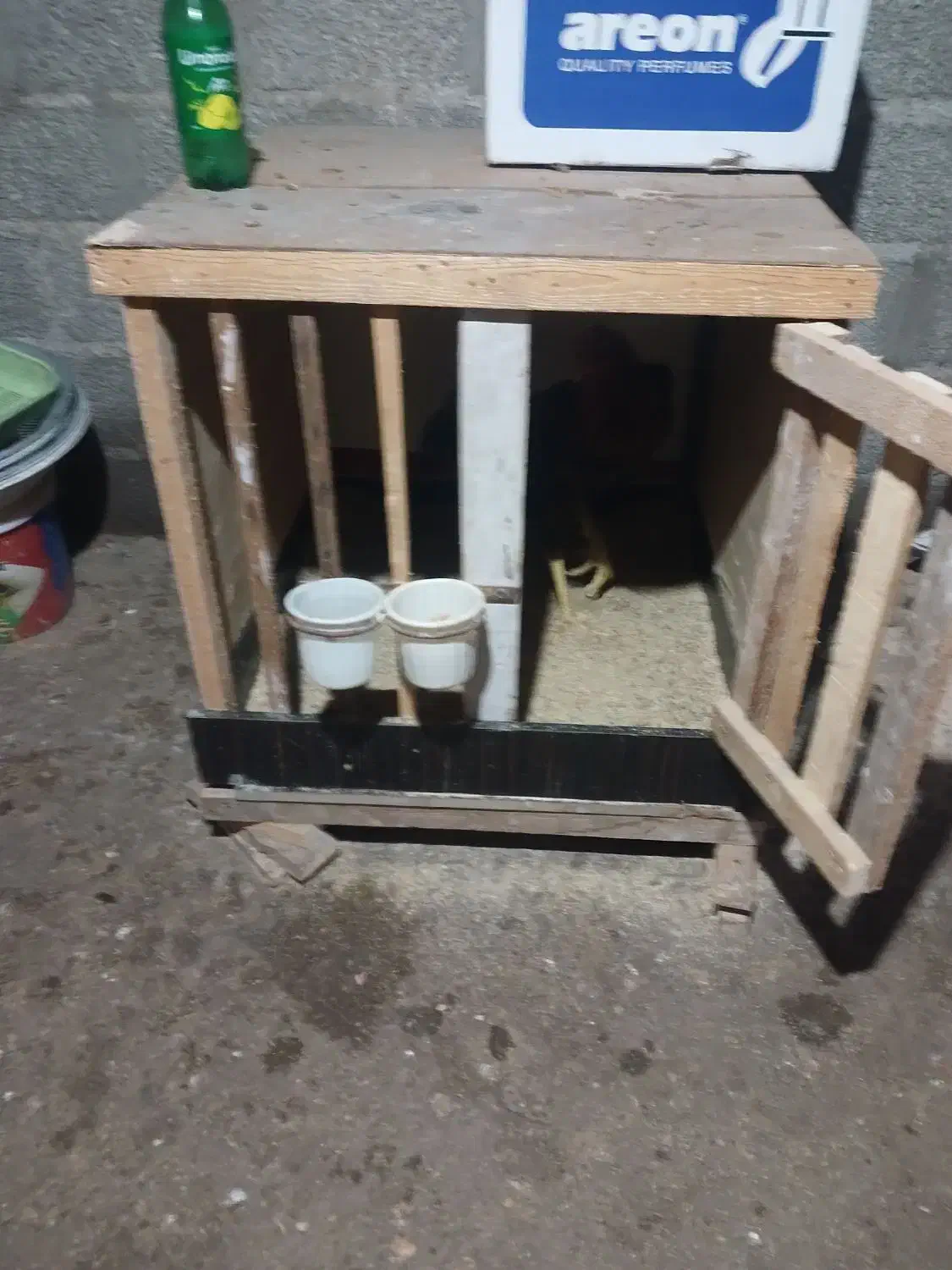 لانه حیوانات|لوازم جانبی حیوانات|رشت, لاکان شهر|دیوار