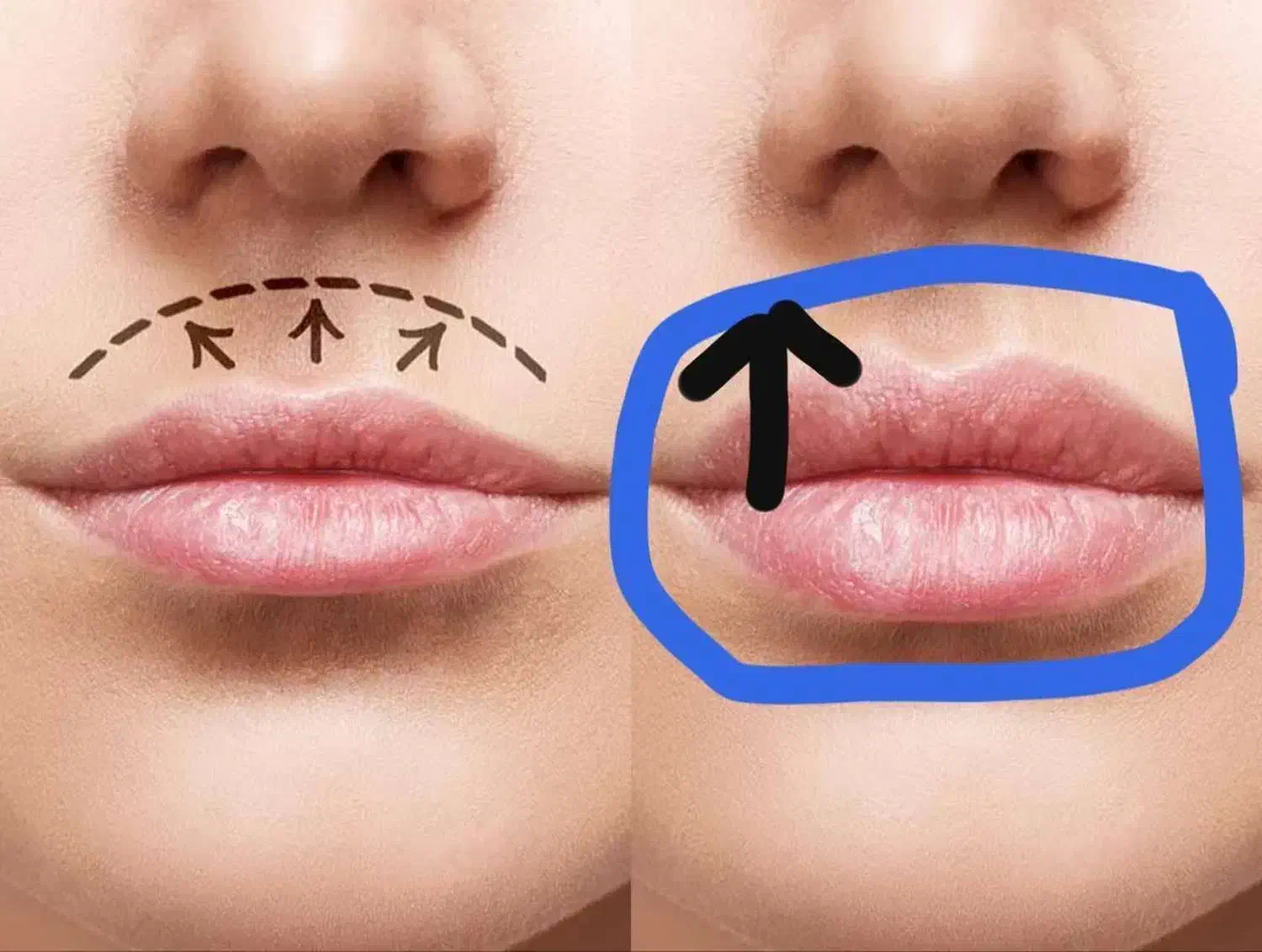 آموزش چهره شناسی|خدمات آموزشی|سبزوار, قصبه غربی|دیوار