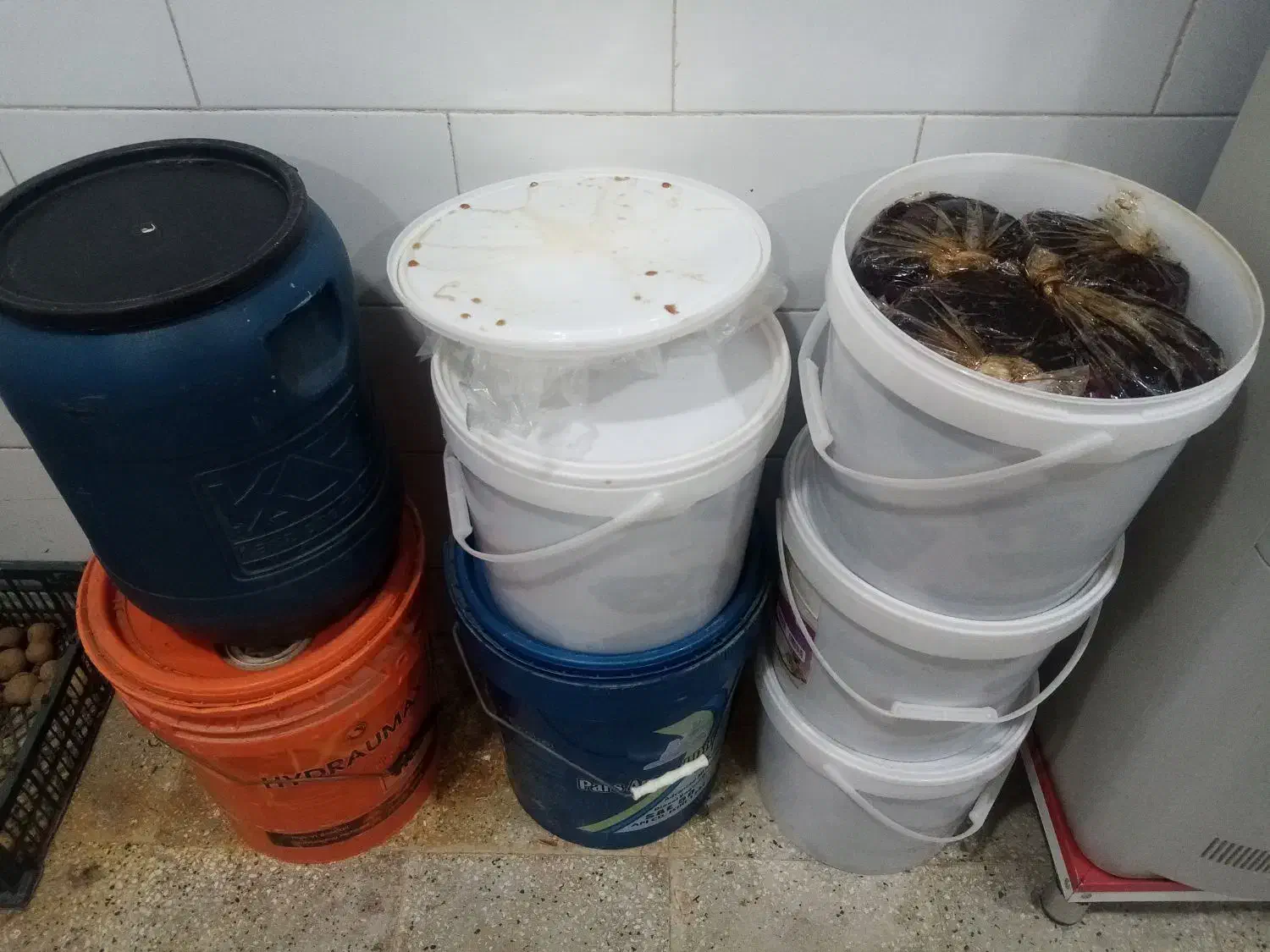 خرمای کبکاب بسته بندی شده شیره زده درجه یک|خوردنی و آشامیدنی|آبپخش, |دیوار