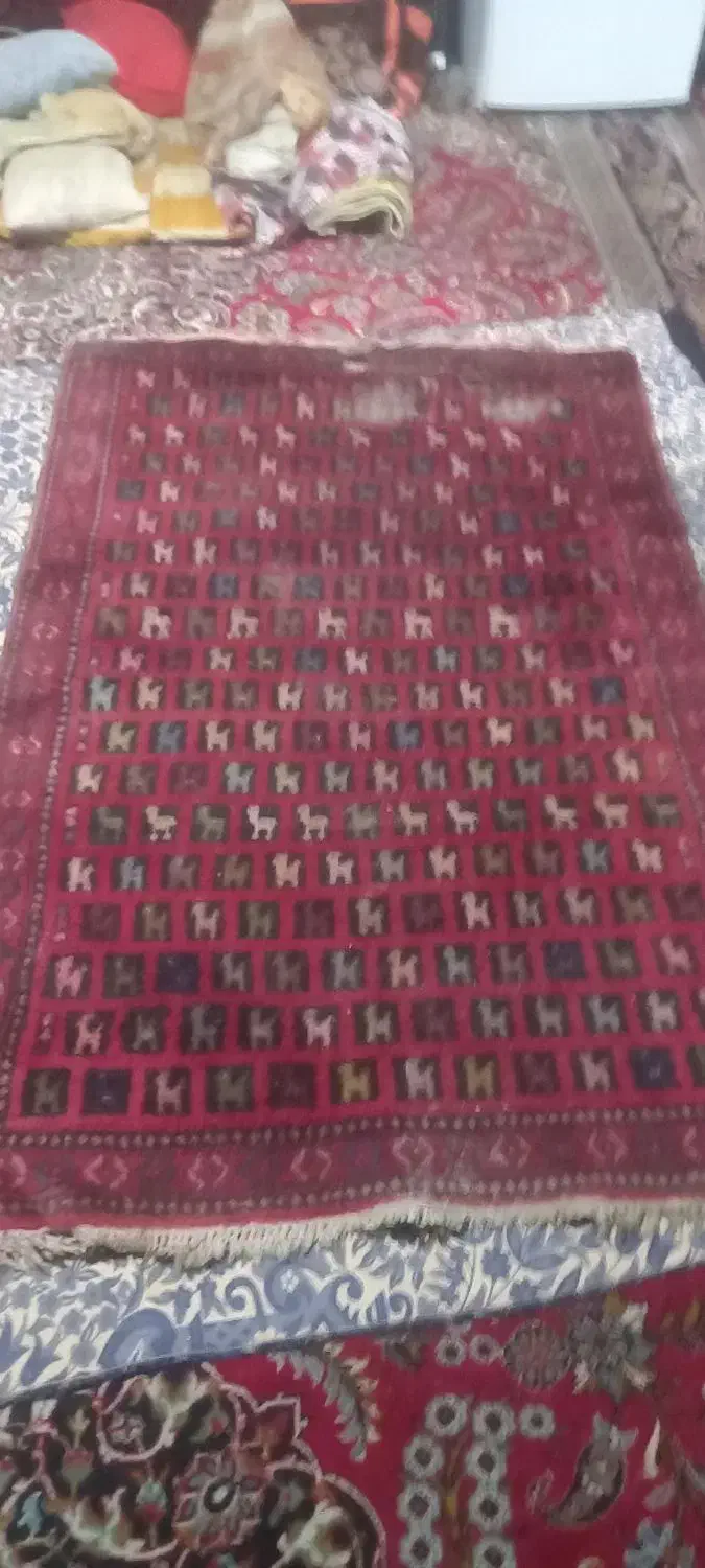 فرش دست باف|فرش|مشهد, عبادی|دیوار