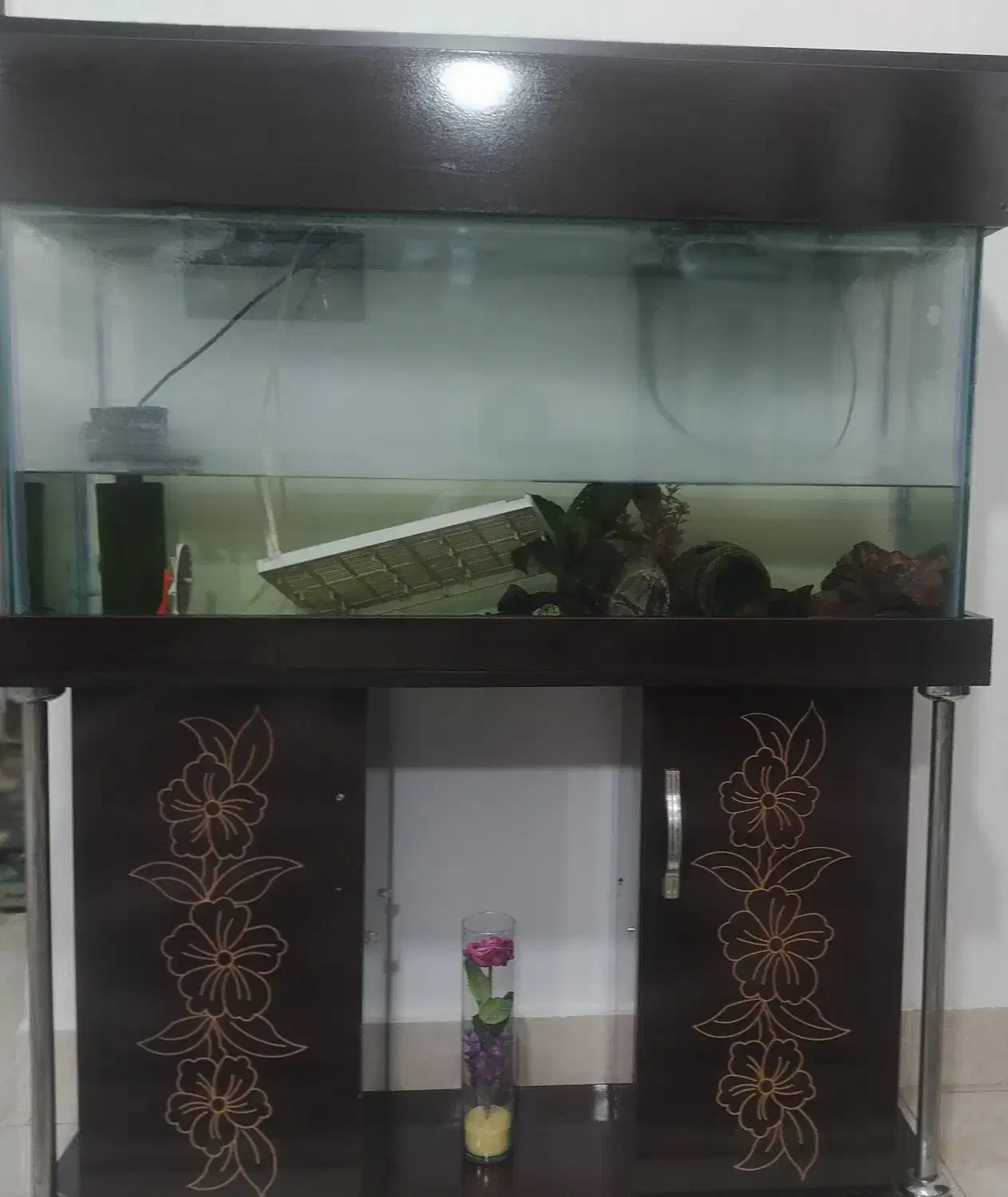 آکواریوم|ماهی|گرگان, |دیوار