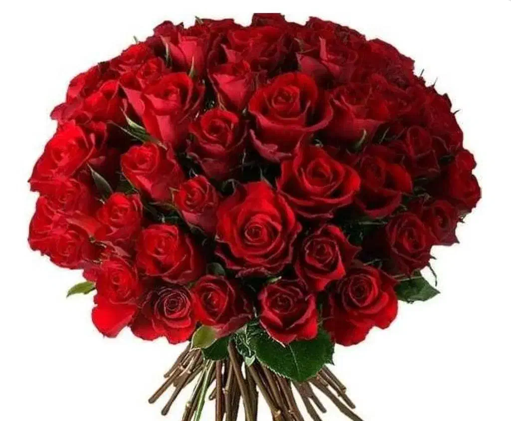 مقداری وسایل منزل|فرش|زاهدان, |دیوار