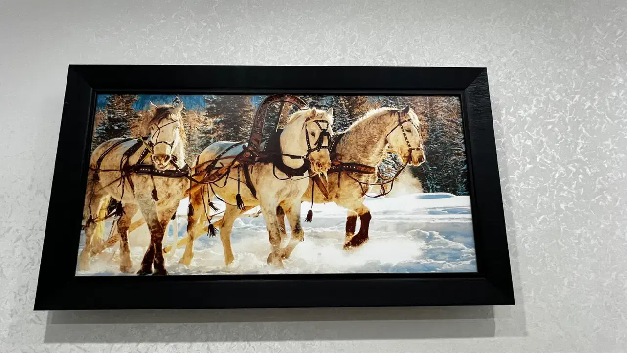 تمیز|تابلو، نقاشی، عکس|تهران, شهرک چیتگر|دیوار