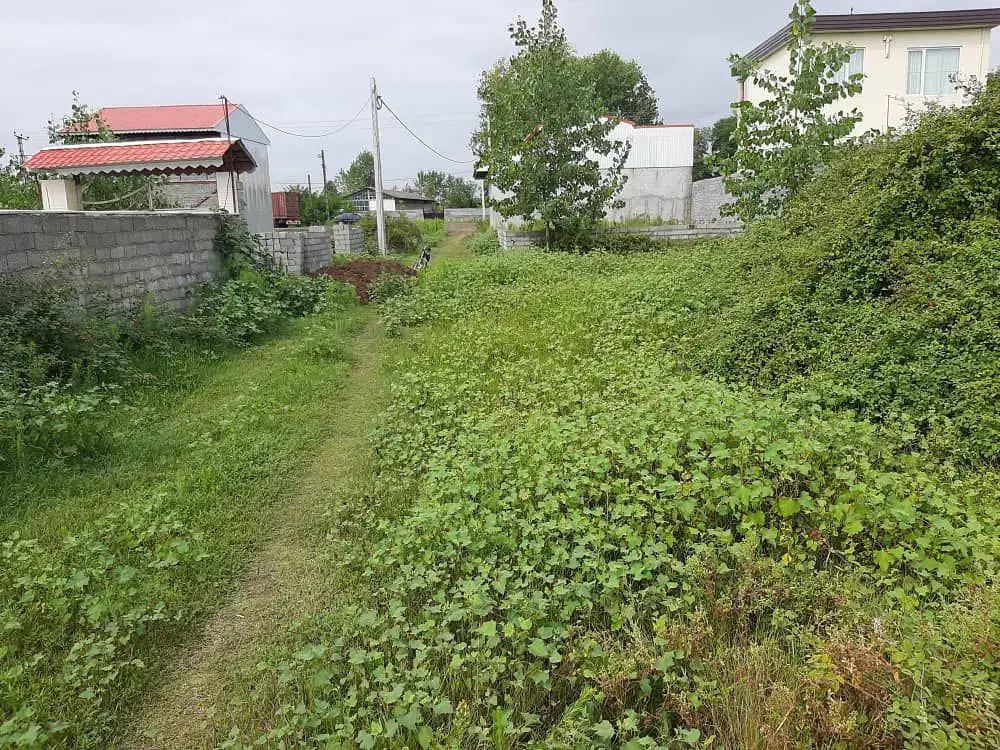 زمین متری فقط ۳ میلیون فاصله با ساحل ۴۰۰متر|فروش زمین و ملک کلنگی|لنگرود, |دیوار