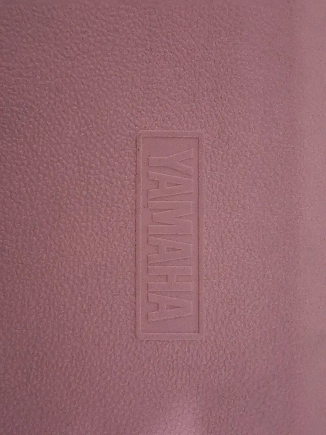 ملودیکا یاماها|سازهای بادی|تهران, ارامنه|دیوار