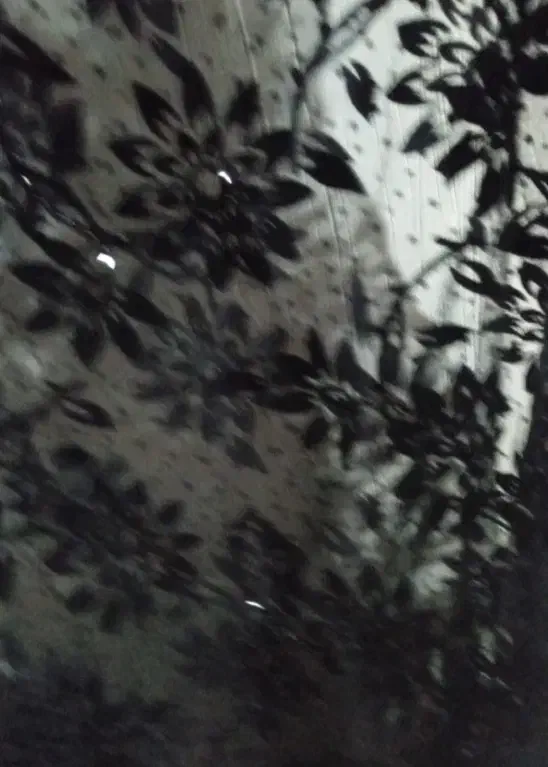 چادر مجلسی شیک|لباس|یاسوج, |دیوار