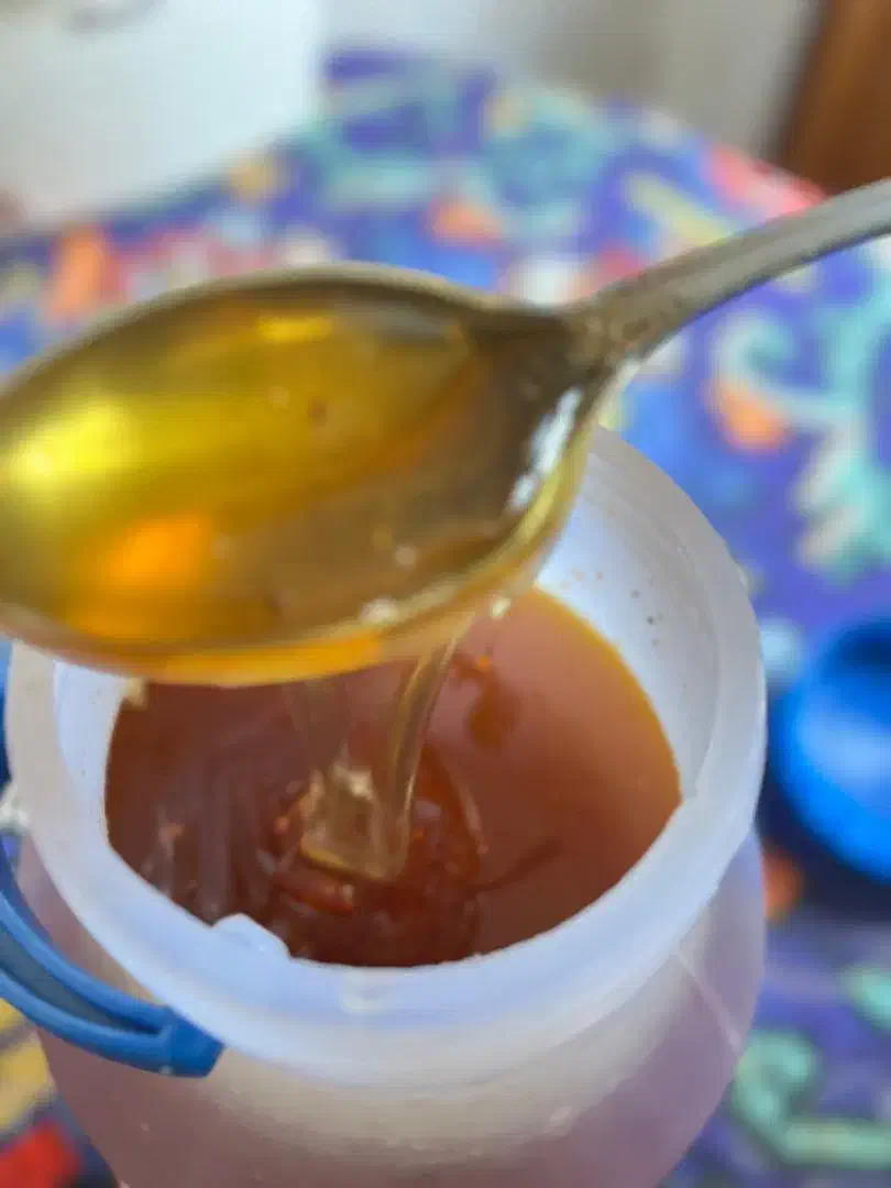 عسل ارگانیک درجه یک|خوردنی و آشامیدنی|آمل, |دیوار